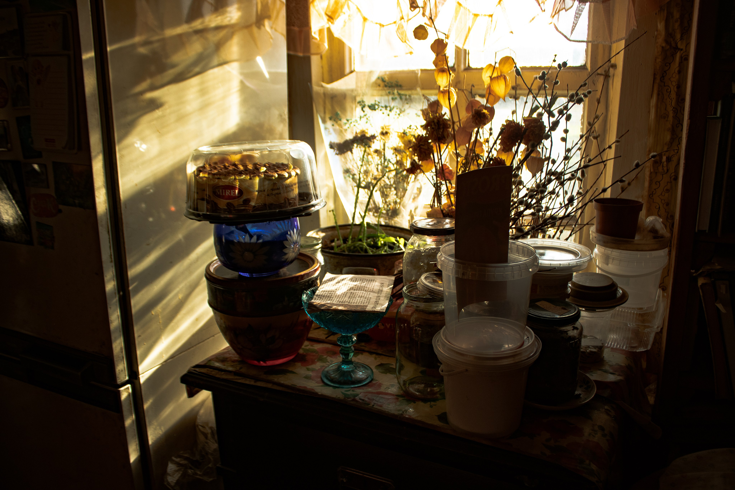 Вепсский ковчег. Полина Щапова БМК235 Медиаком — НИУ ВШЭ