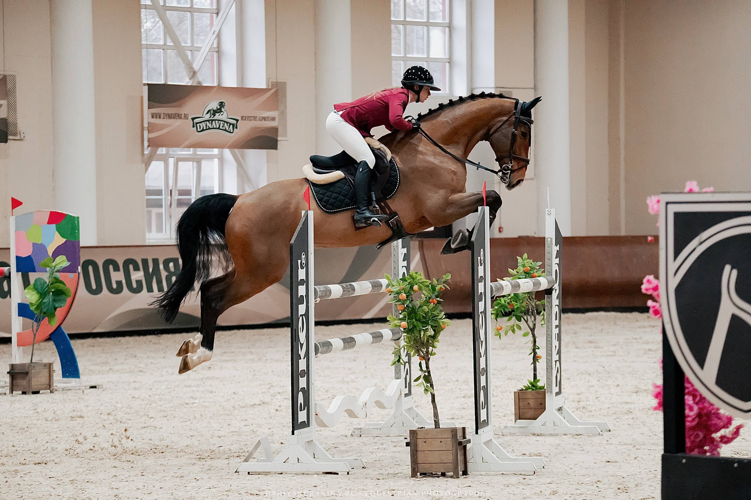 КУБОК ВУЗОВ. ФИНАЛ — КСК «ВИВАТ, РОССИЯ!». Куракина Дарья • Конный фотограф