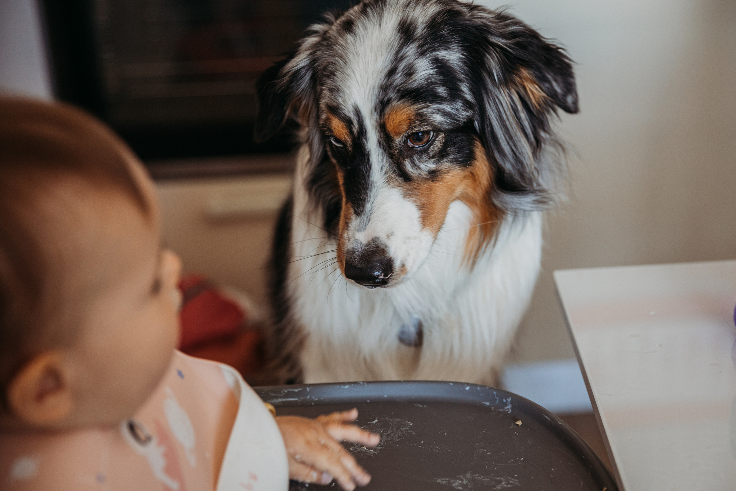Домашняя история. Леся Гаранина. Семейный фотограф/видеограф Москва и область