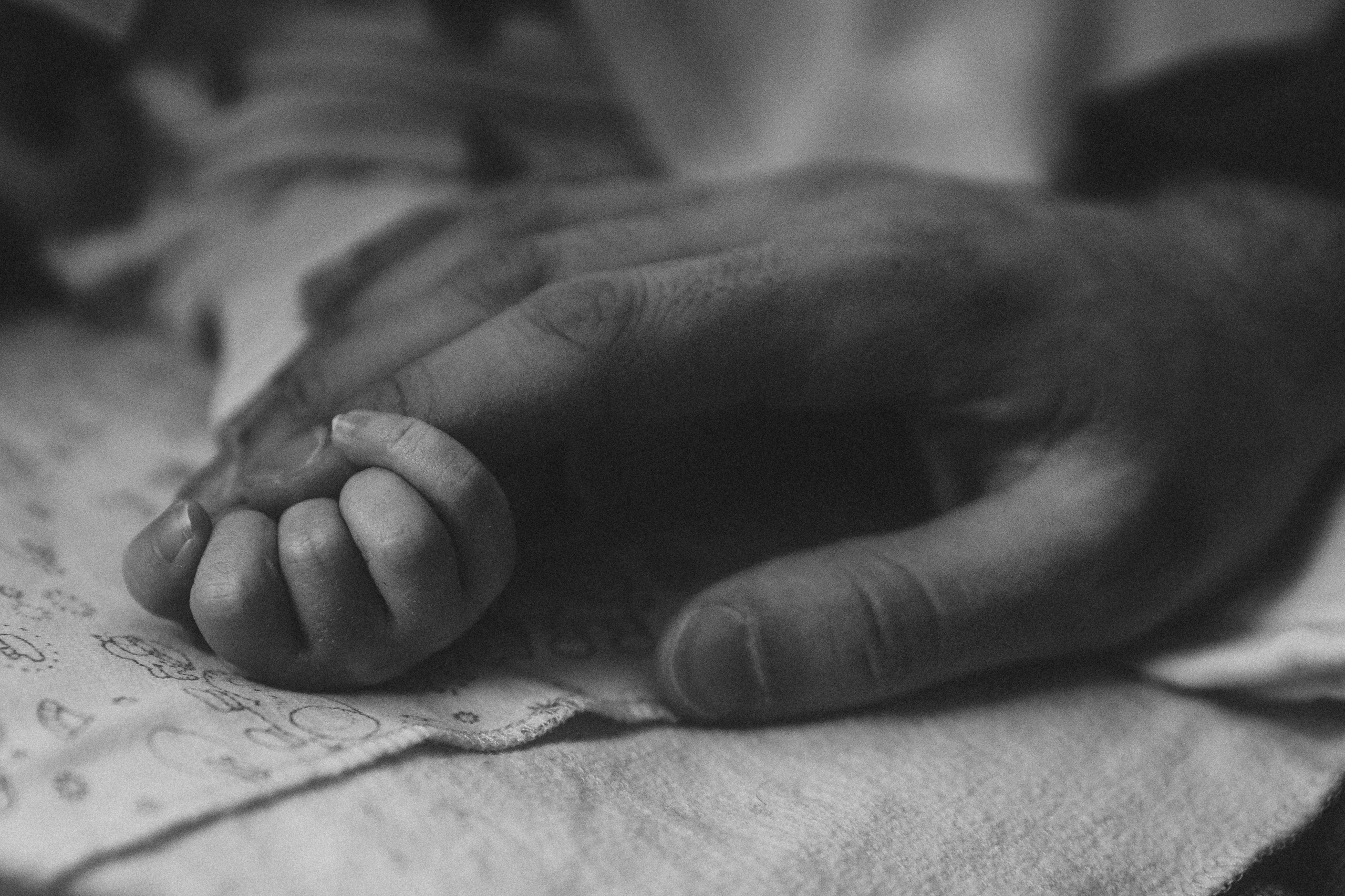 Леся Гаранина. Семейный фотограф/видеограф Москва и область