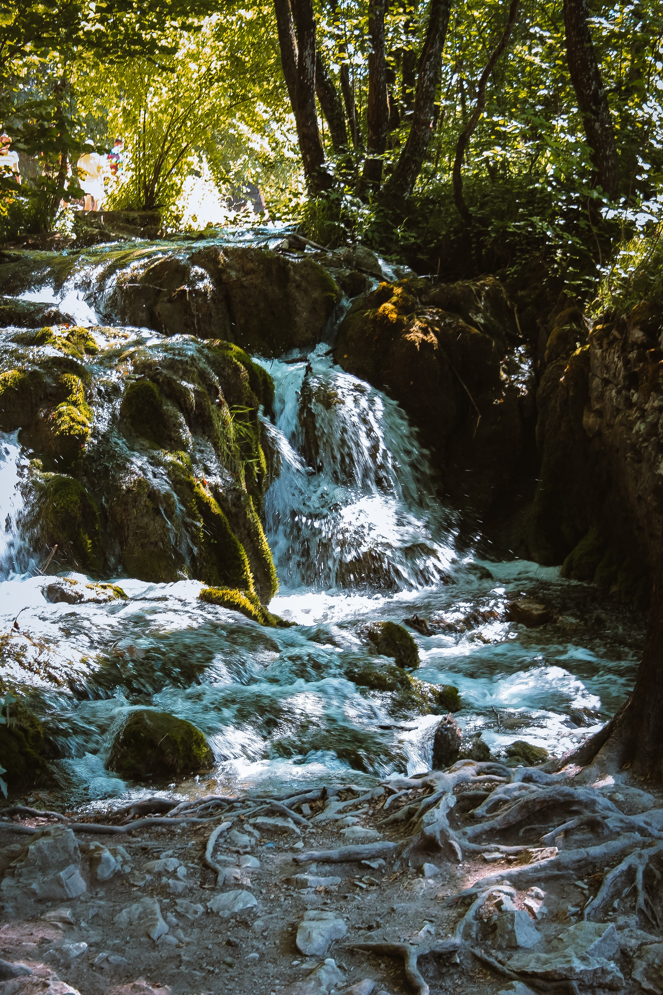 Хорватия: Плитвицкие озера. Дарья Письменюк / Darya Leitstern — фотограф, музыкант, журналист, путешественник