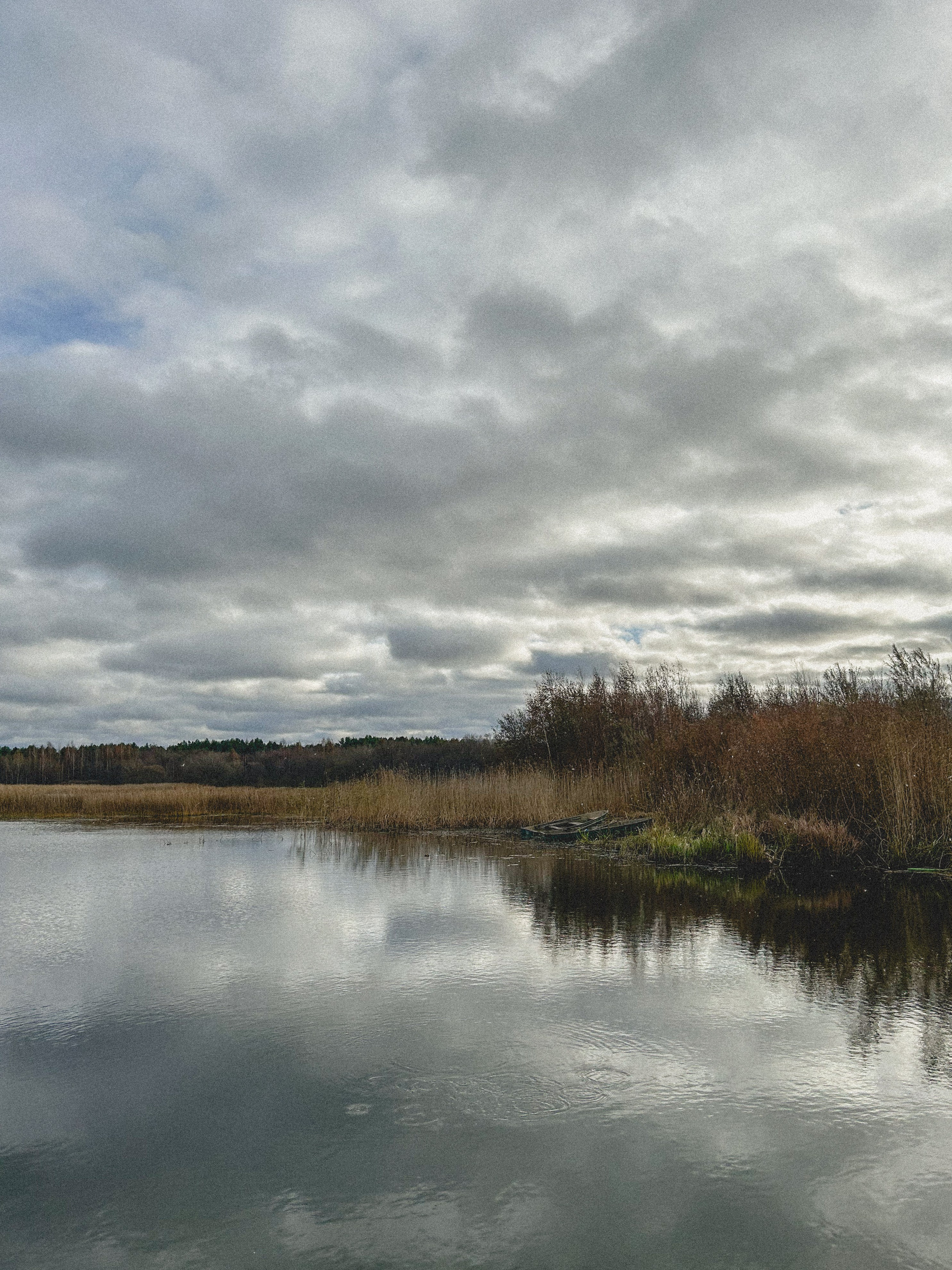 Природа. Фотокружок «Видоискатель» ГБОУ СОШ № 291