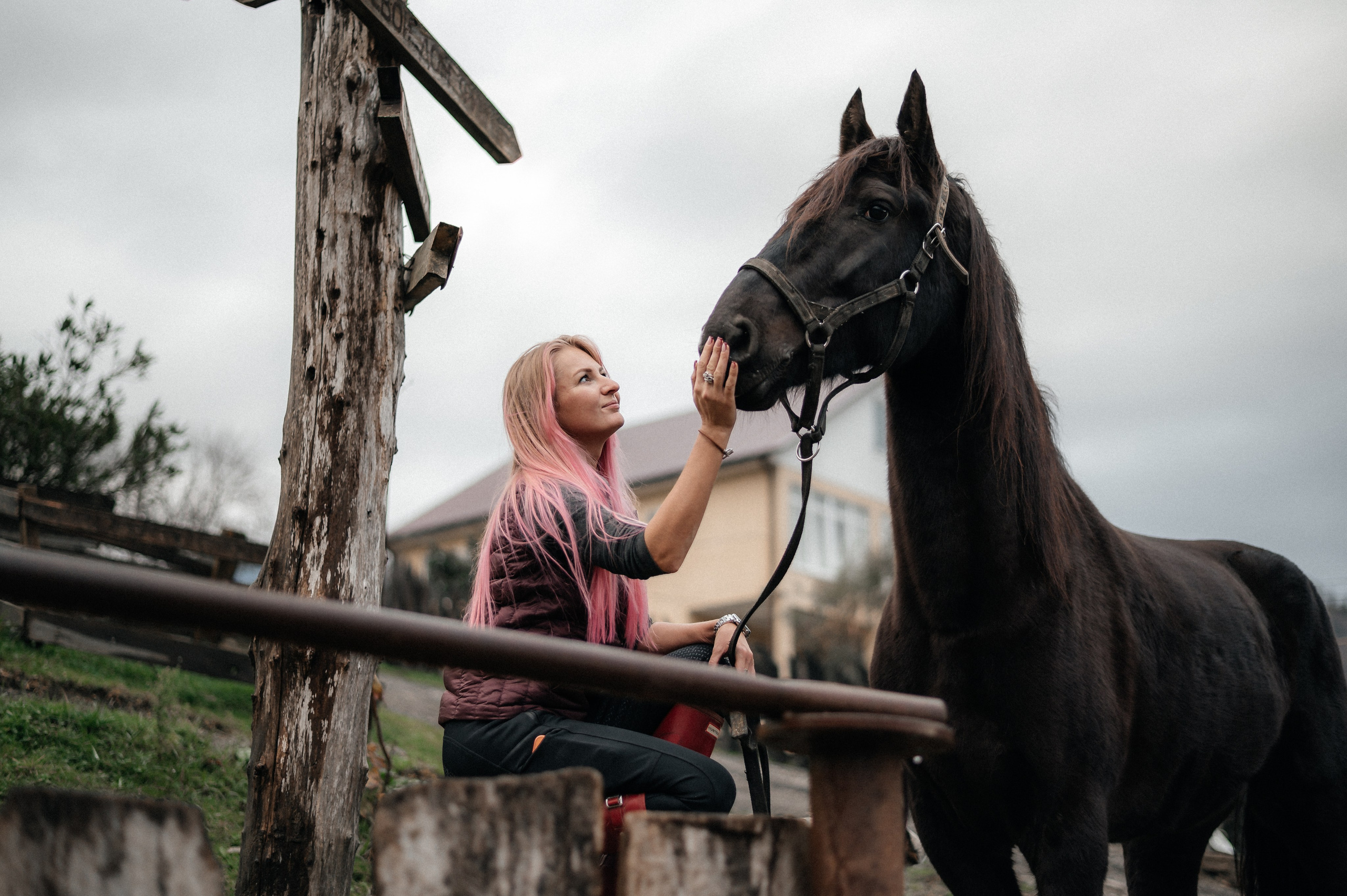 Из Швейцарии на конюшню в Сочи. Фотограф Сергей Суслов | Сочи
