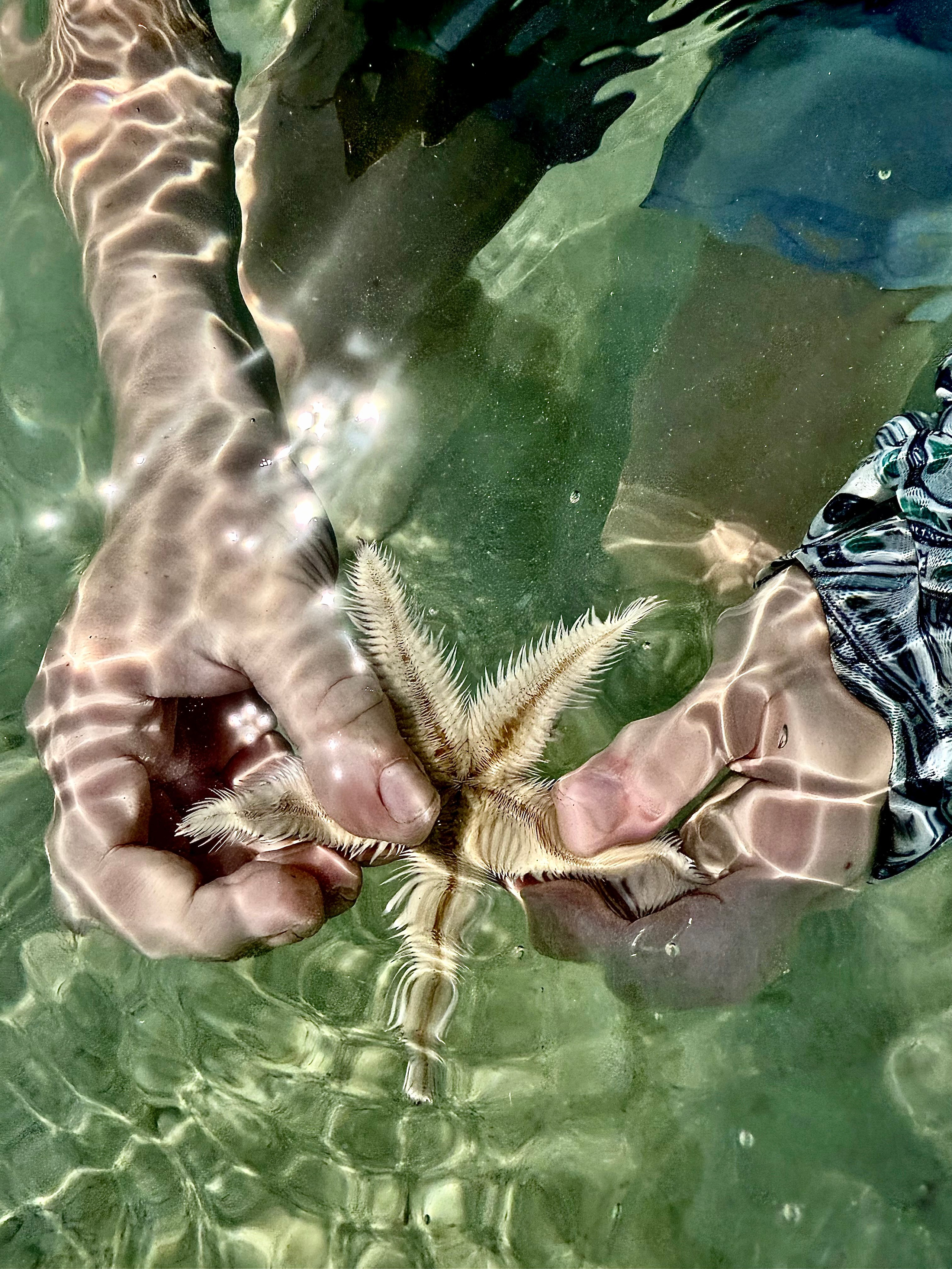 Семейные фото в студии. Фотограф и художник в Москве Евгения Нюнина