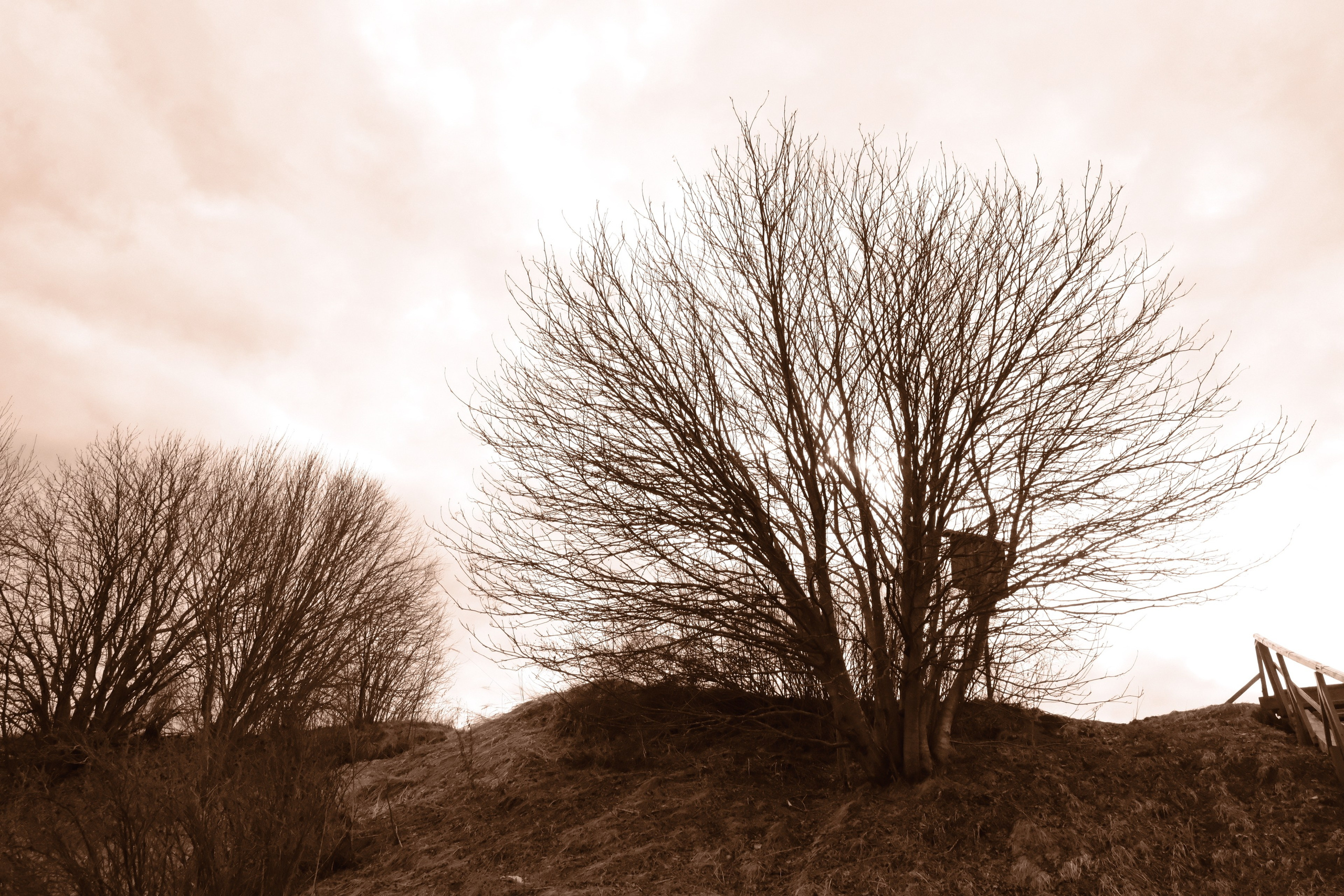 Фотограф Москва. Фотограф и художник в Москве Евгения Нюнина
