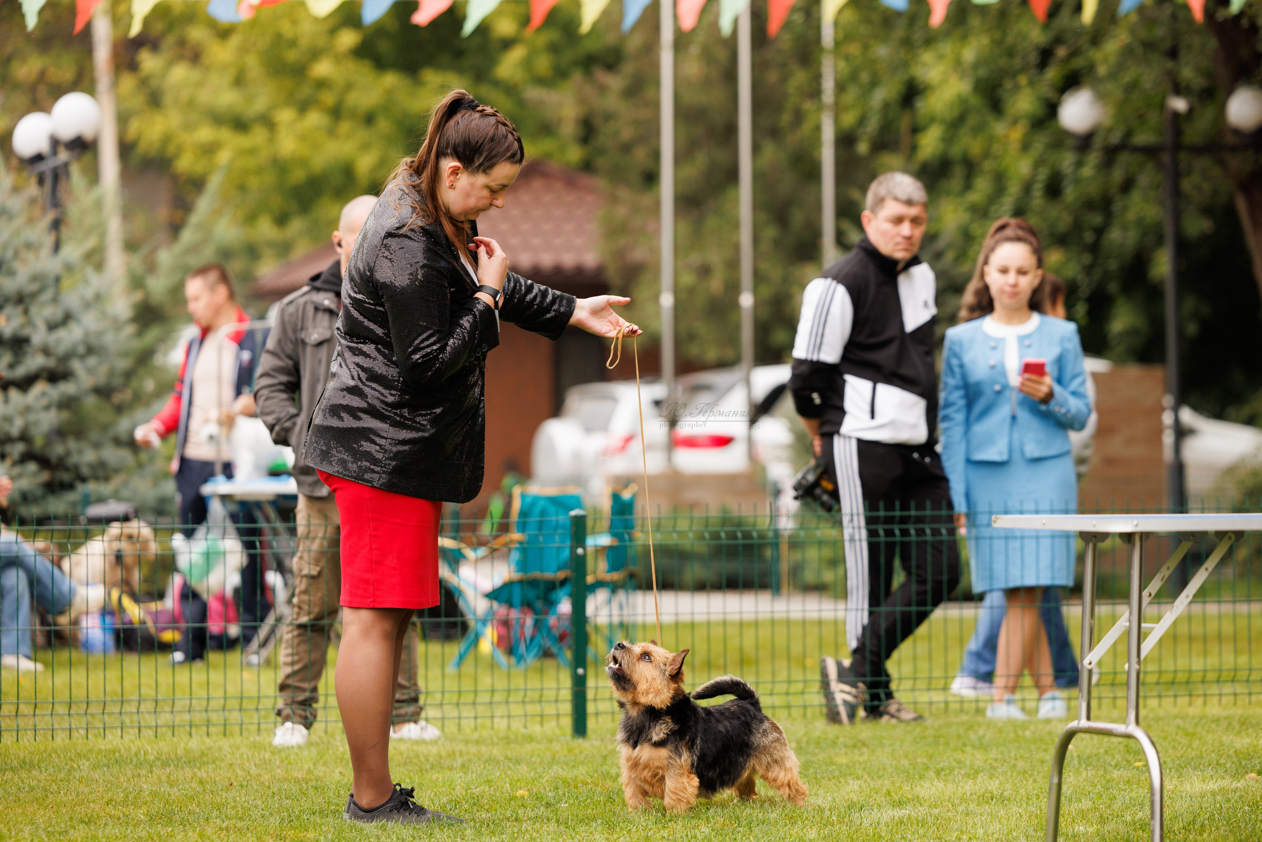 Бишкек 3х CACIB 26-28.09.2025. Фотограф-анималист Юлия Германика