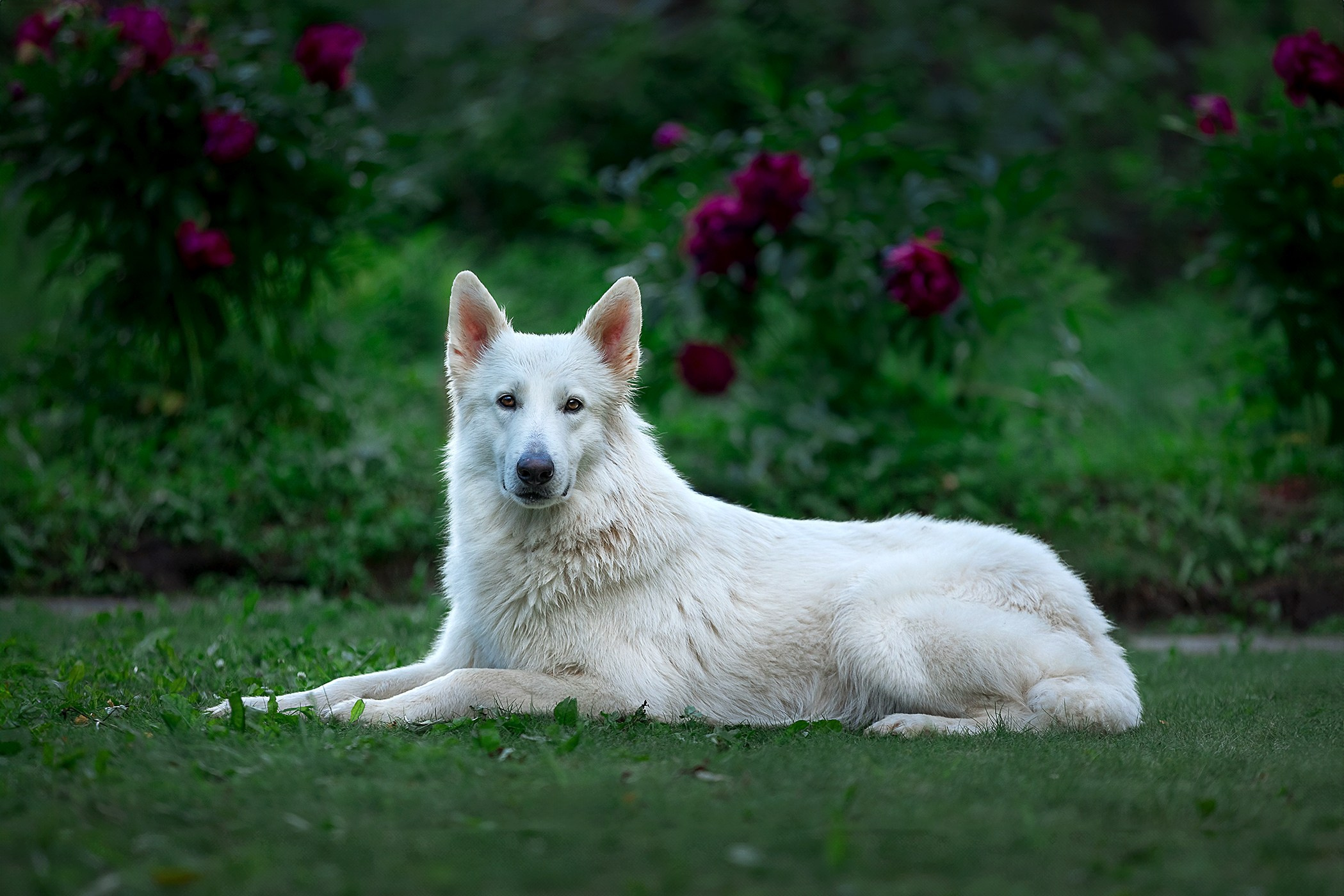 Природа и пейзажи. Наталья Антипас фотограф Москва