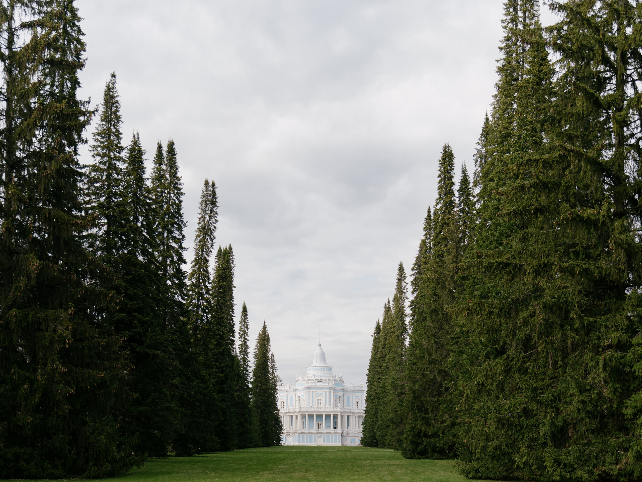 Юрий и Софья. Свадебный и семейный фотограф в Санкт-Петербурге Дмитрий Панин