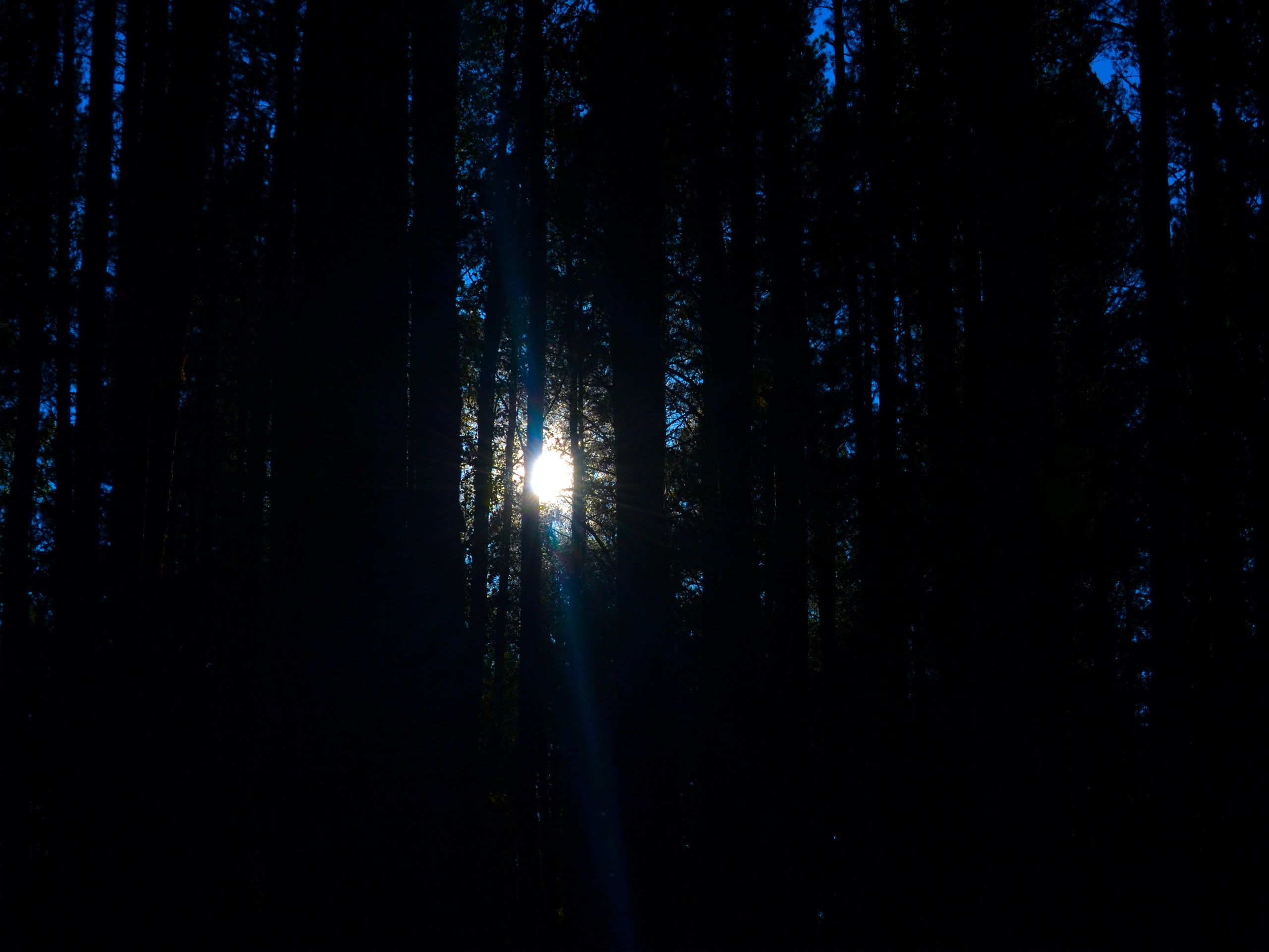 Фотограф | Видеограф в Кургане, Тюмени и Челябинске