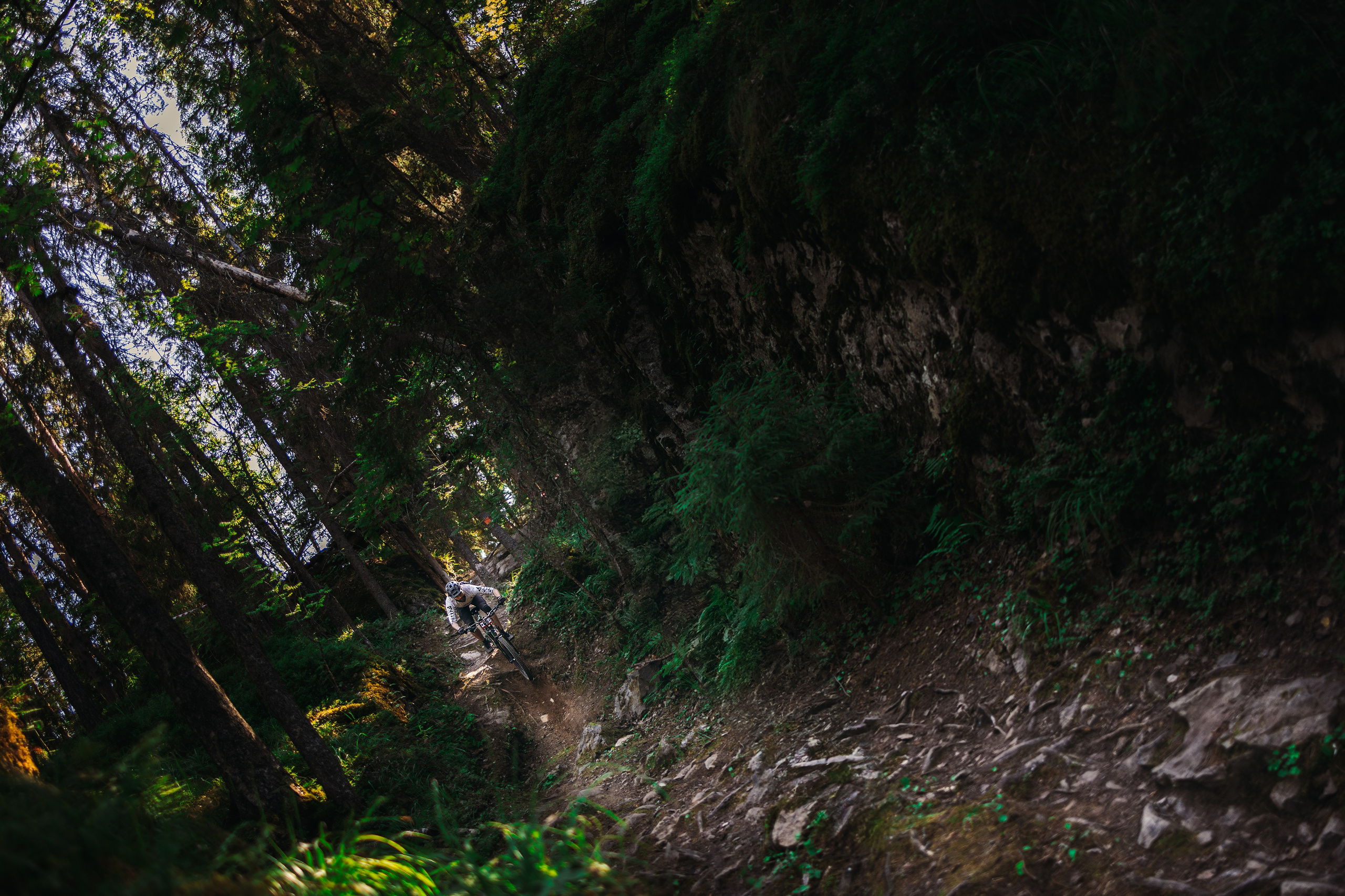 Гонка Ялгора. Фотограф анималист Никита Натальный