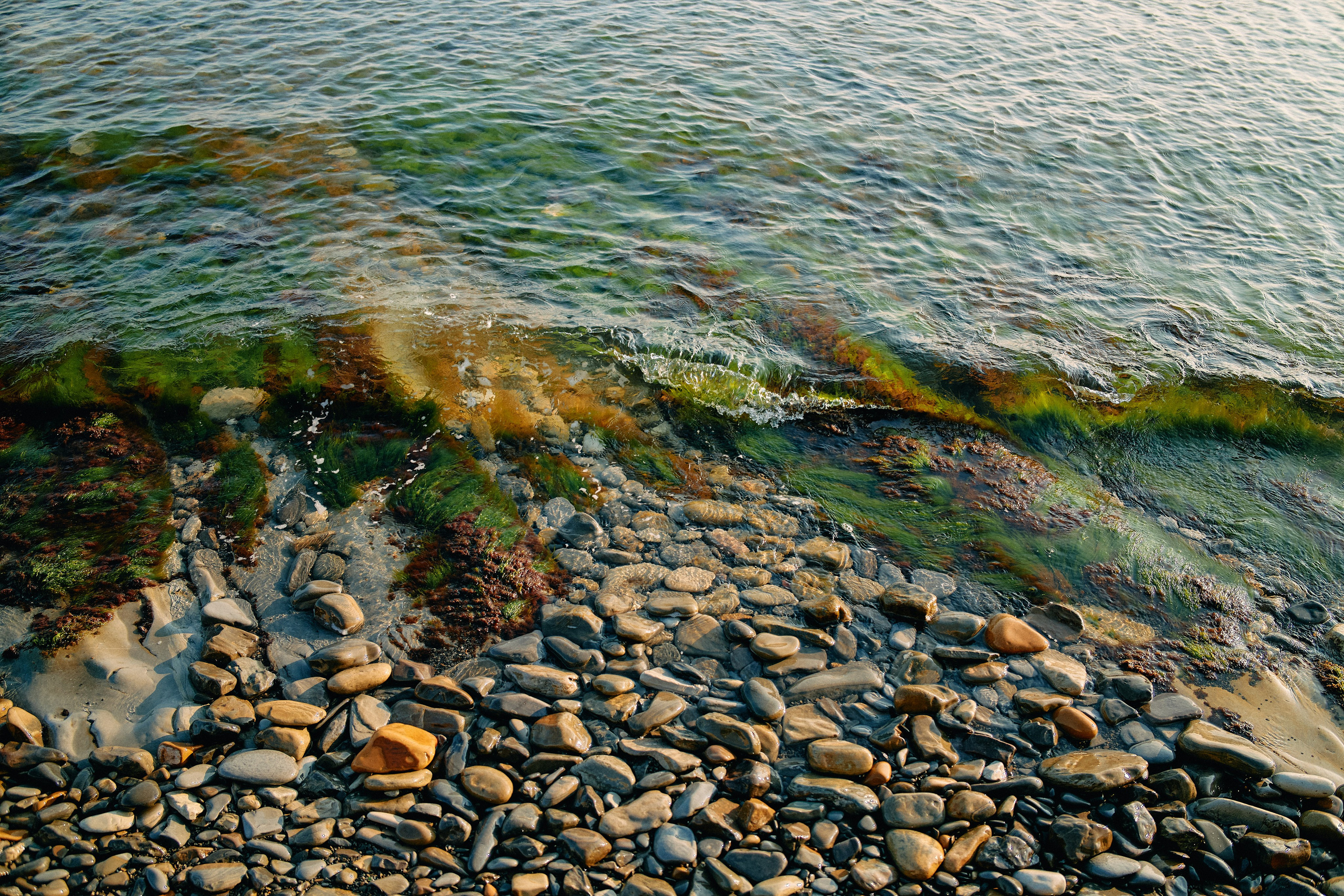 Юг России. Профессиональный Фотограф во Владимире, в Москве и в Суздале — Полина Романычева
