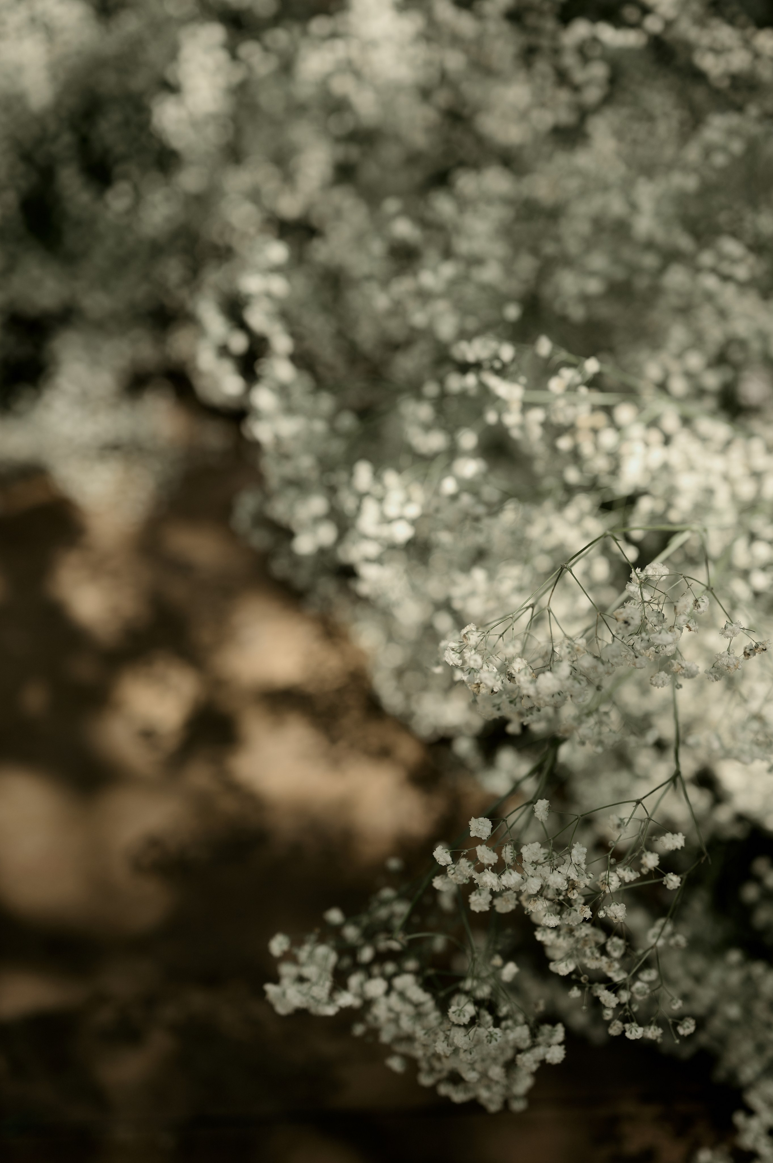 K&D. Свадебный и репортажный фотограф