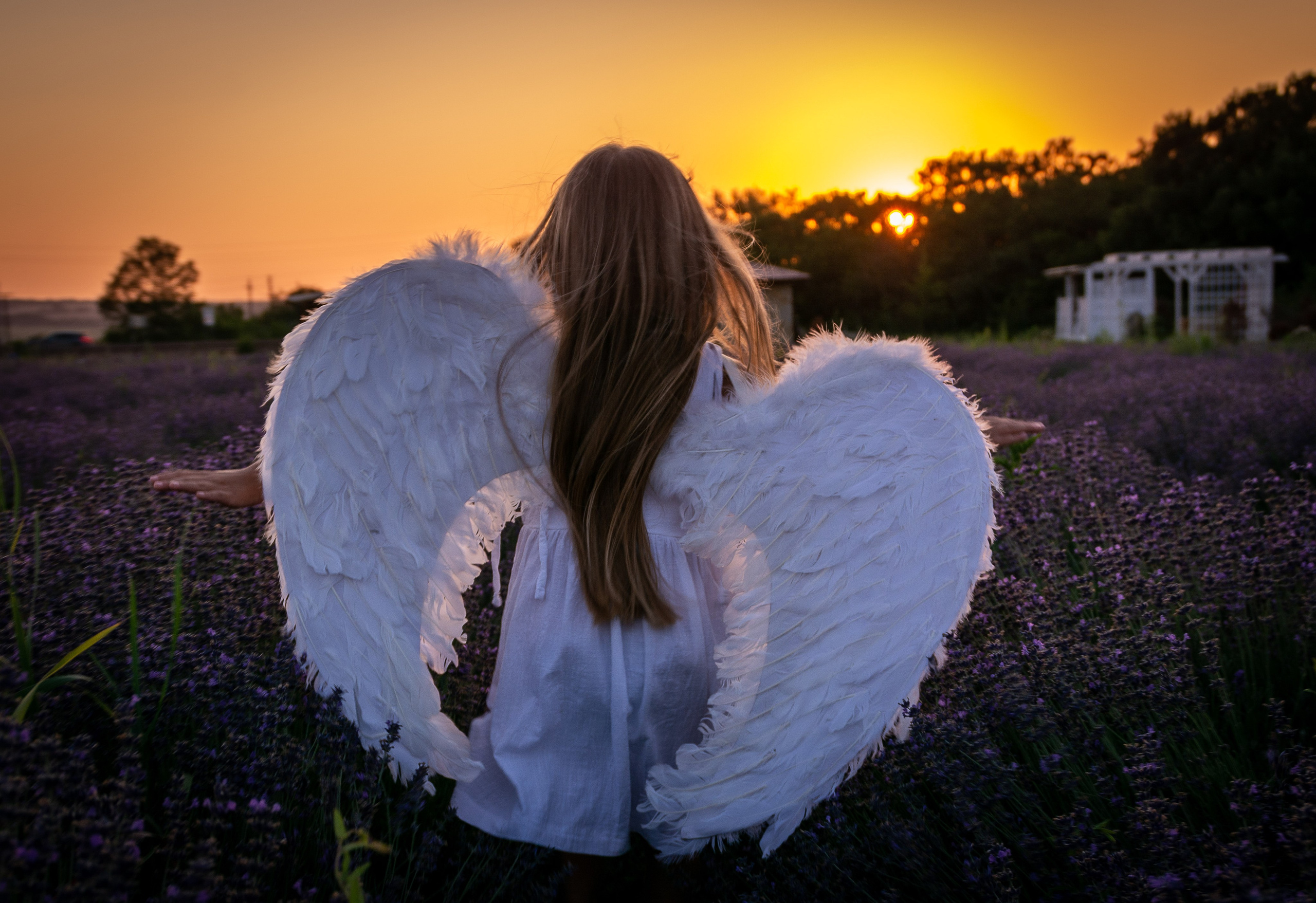 Фотографии в лавандовом поле. Елена Волкова семейный фотограф в станице Гостагаевской города-курорта Анапа
