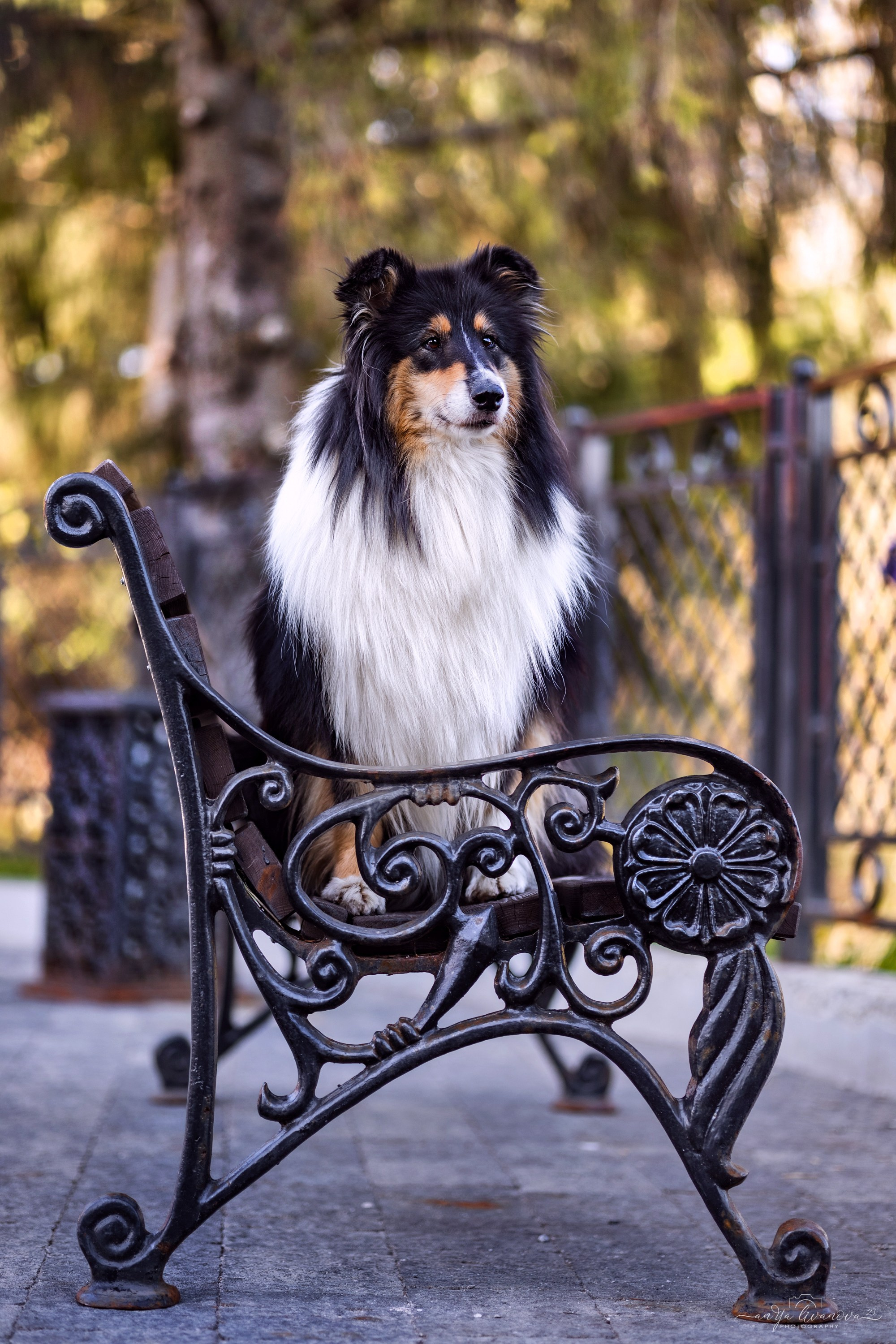 Оля и Вива. Фотограф анималист Аня Ливанова | Рыбинск