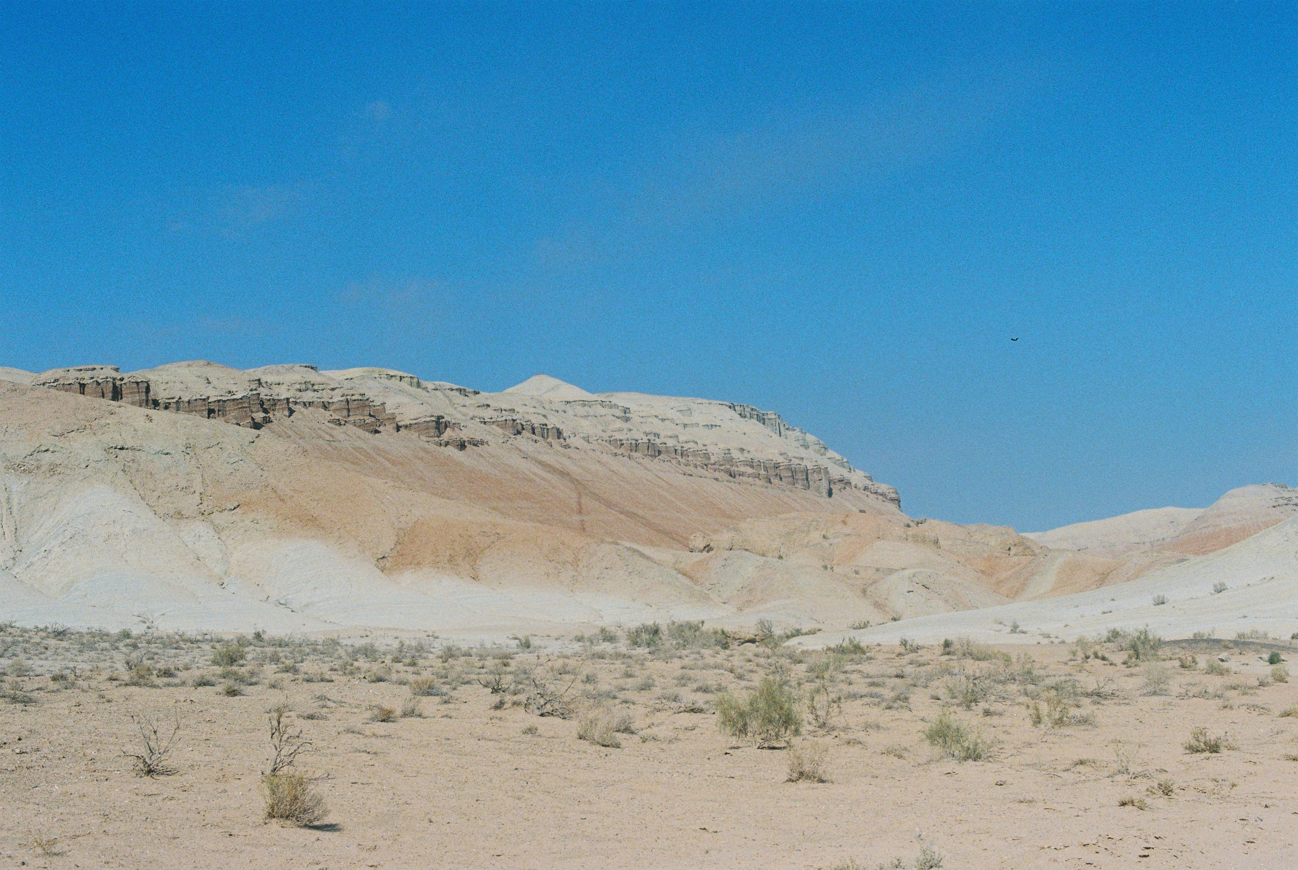 Алтын эмель/Или/Курты, плёнка 2025. Фотограф в Алматы — Алексей Коньков | Репортаж, свадьбы, портреты