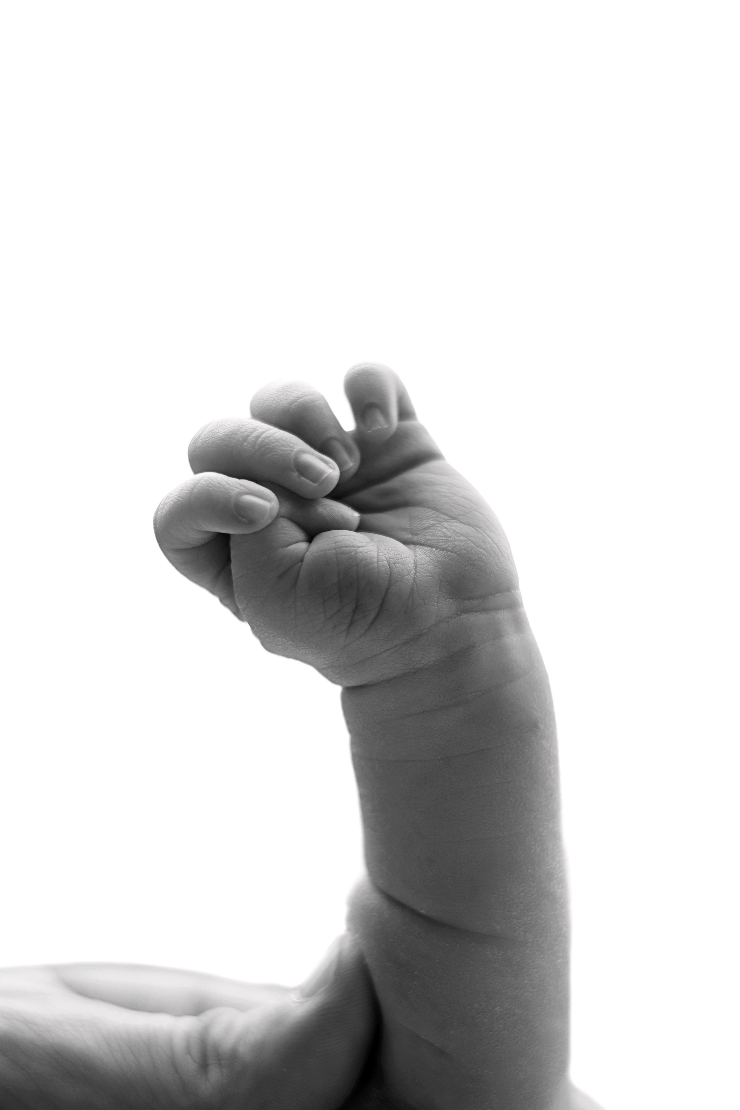 Фотограф новорожденных в Москве Светлана Столярова. Фотограф новорожденных Москва. Ньюборн фотограф Москва