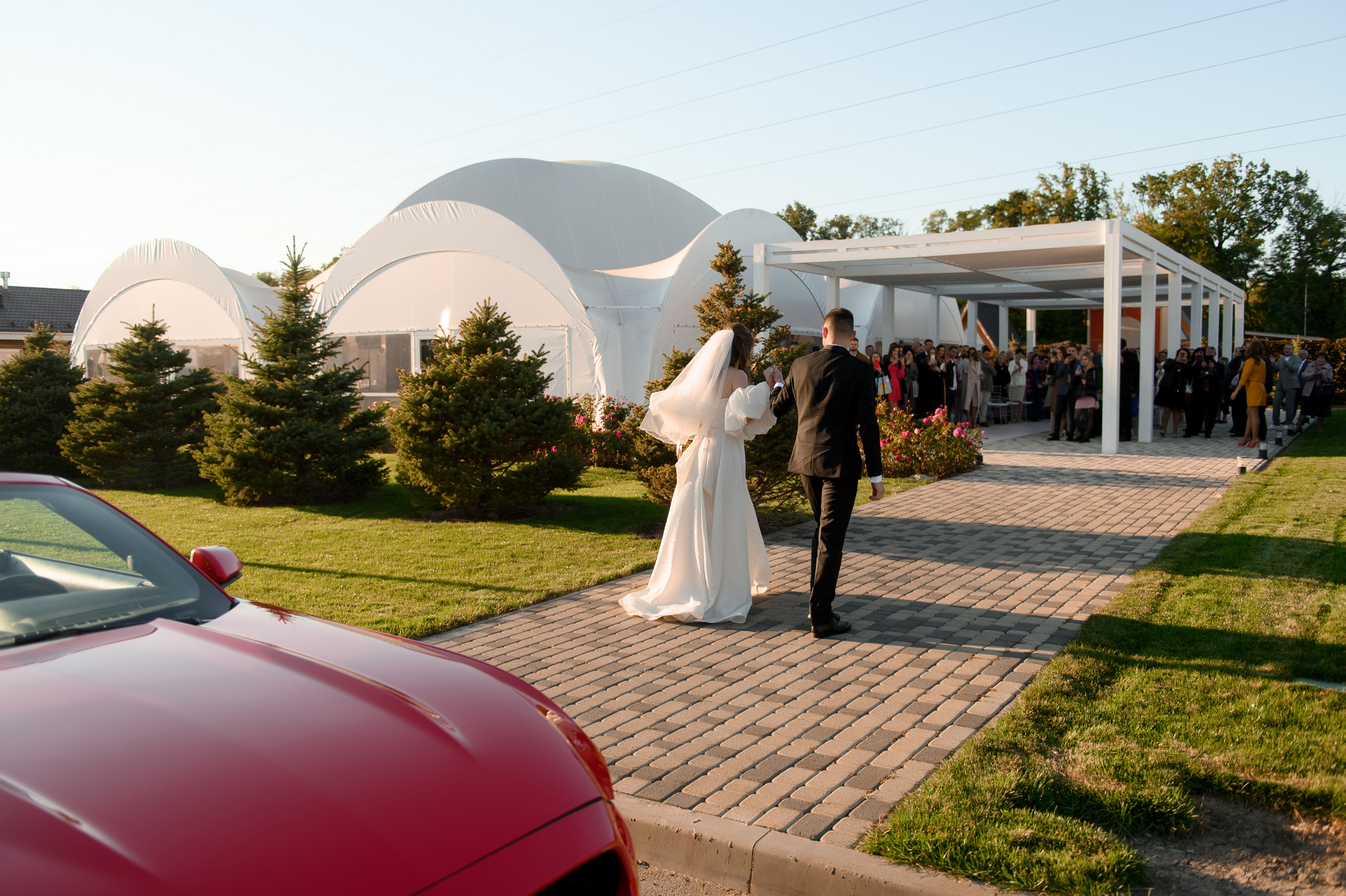 Свадебный фотограф в Таганроге Максимов Максим (Golden Horse). Свадебный фотограф в Ростове Максимов Максим