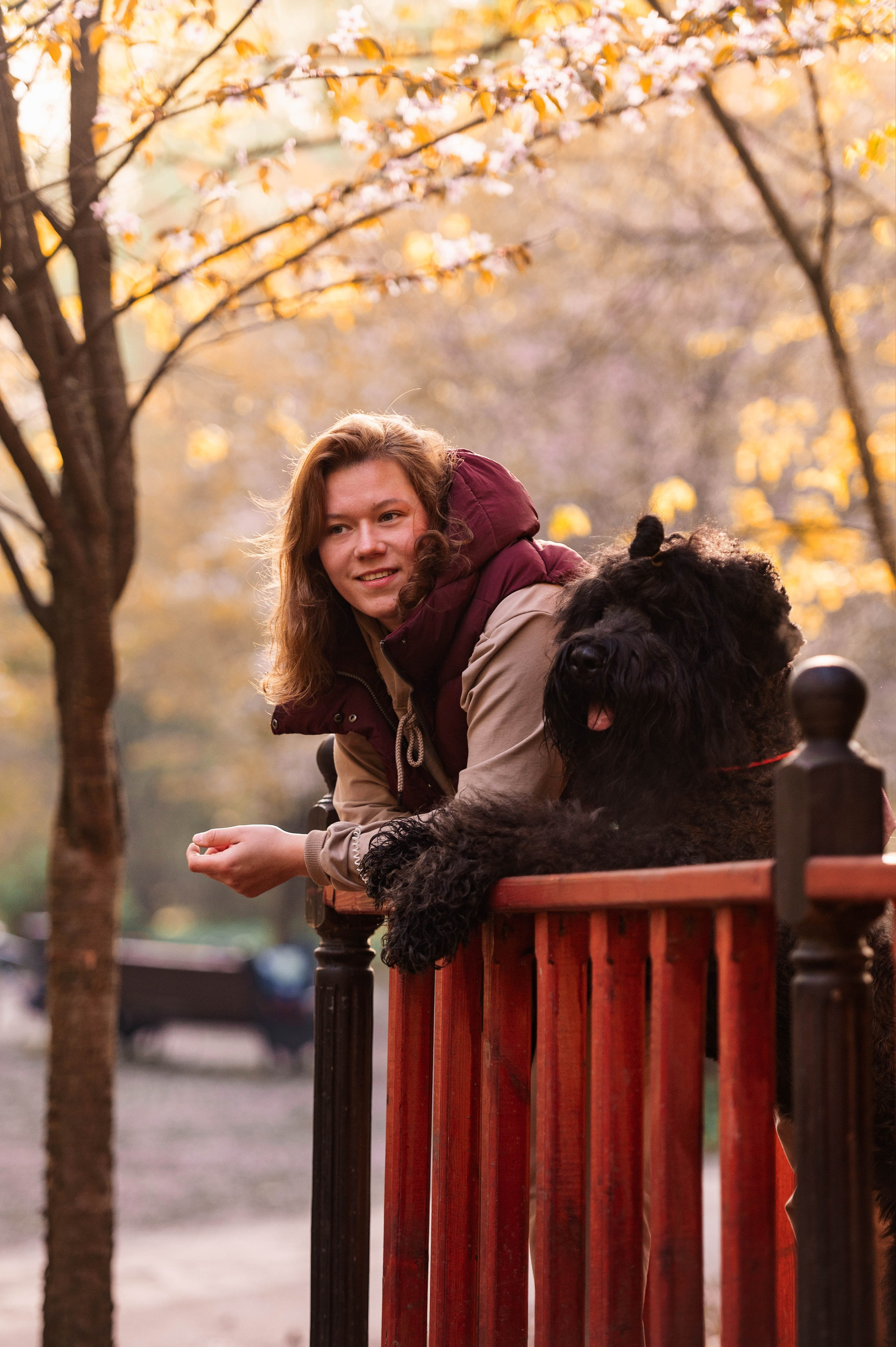 Черныши, сакура и краски холи. Фотограф-анималист