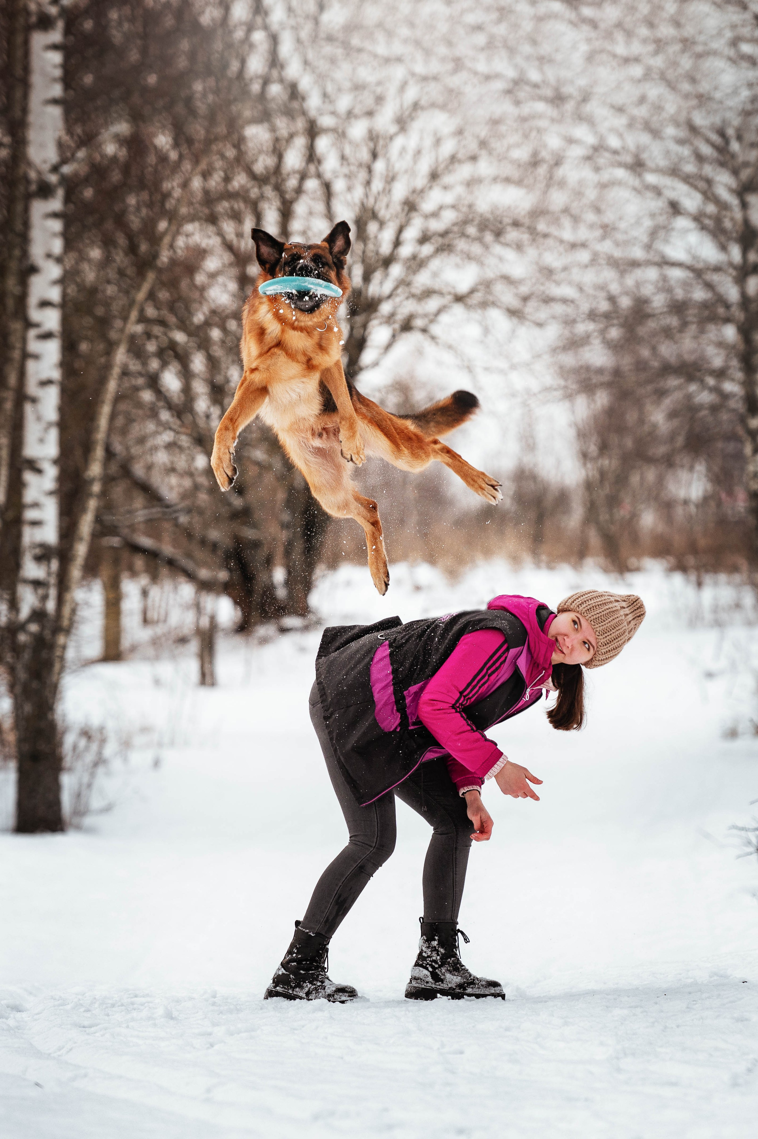 Вольт. Фотограф-анималист