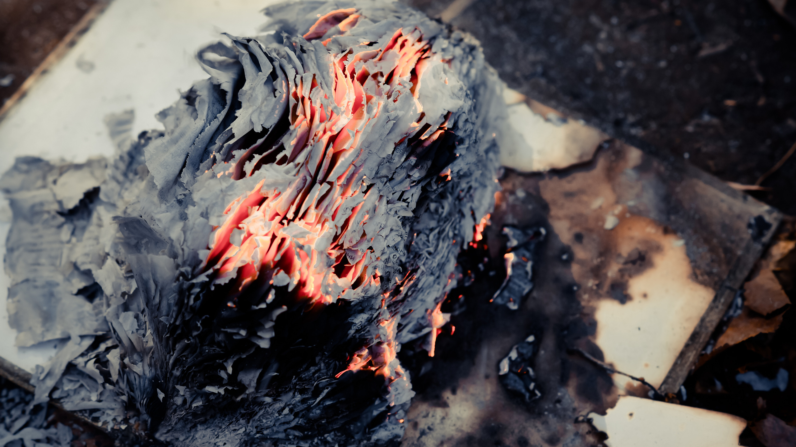 Разное •. Творческий фотограф в Санкт-Петербурге Надежда Лиссова