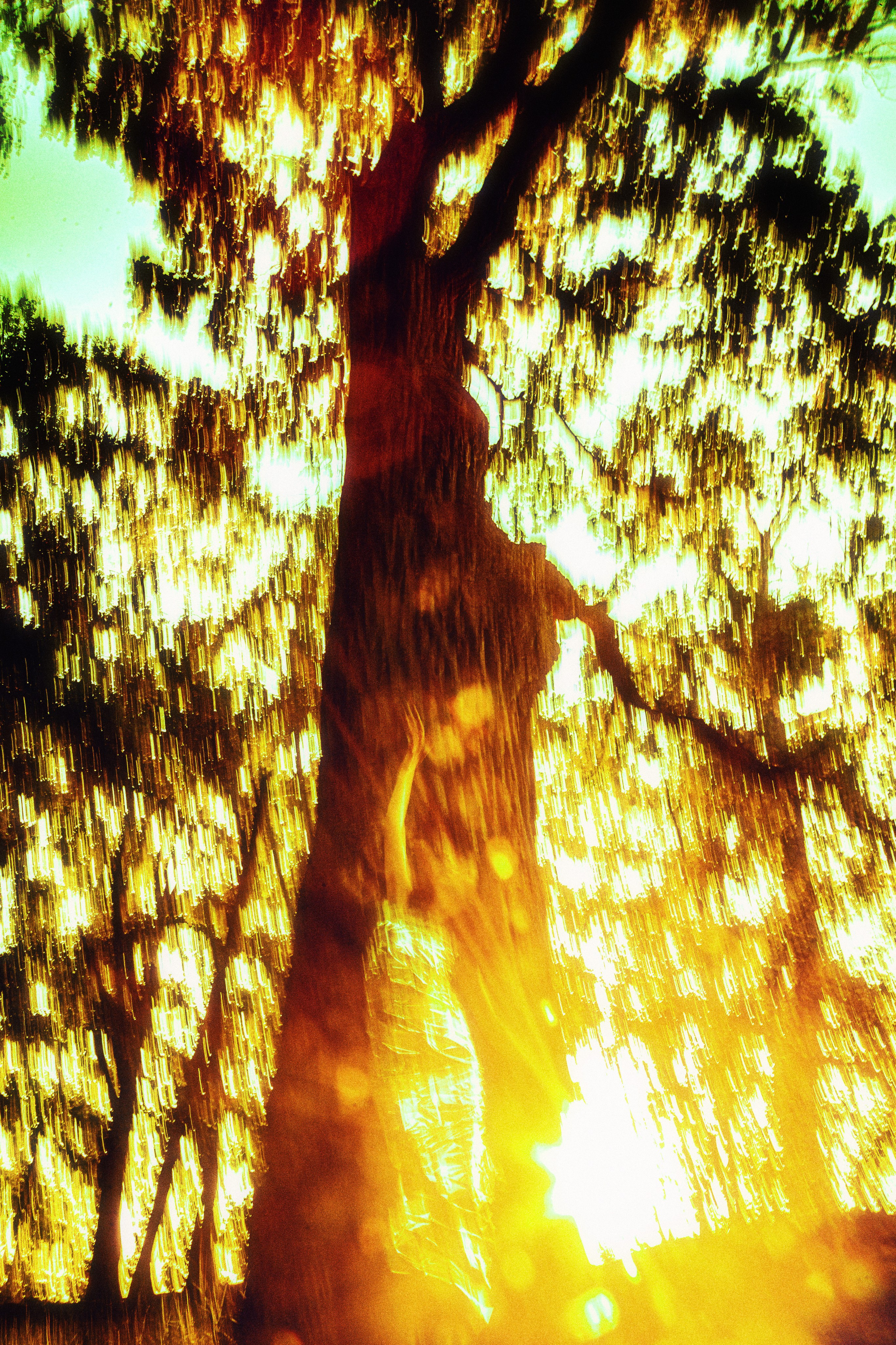 Даниэлла. Черно-белый фотограф Дмитрий Пчелкин