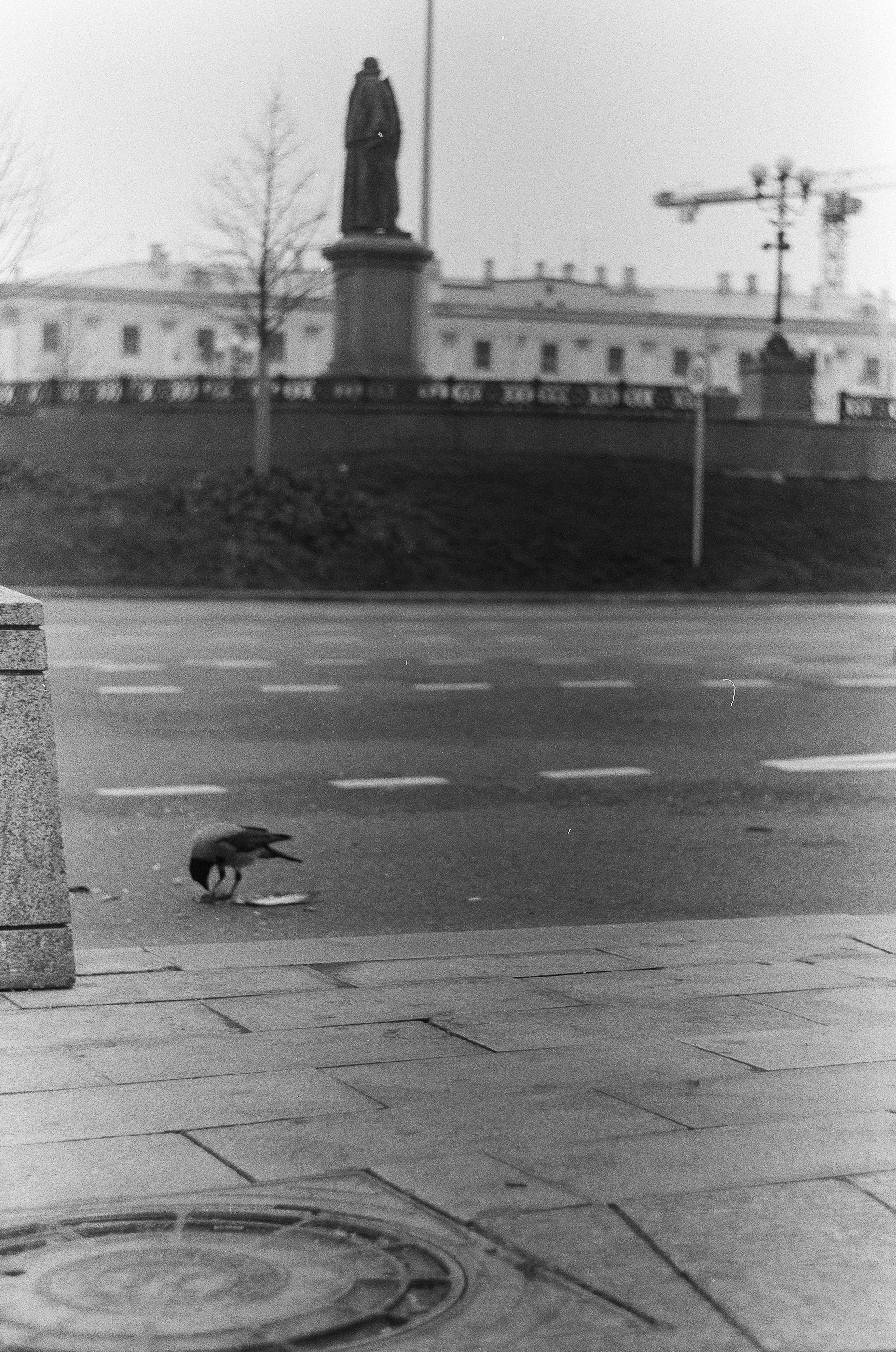 Пленка. Фотограф в Москве Наталья Новикова