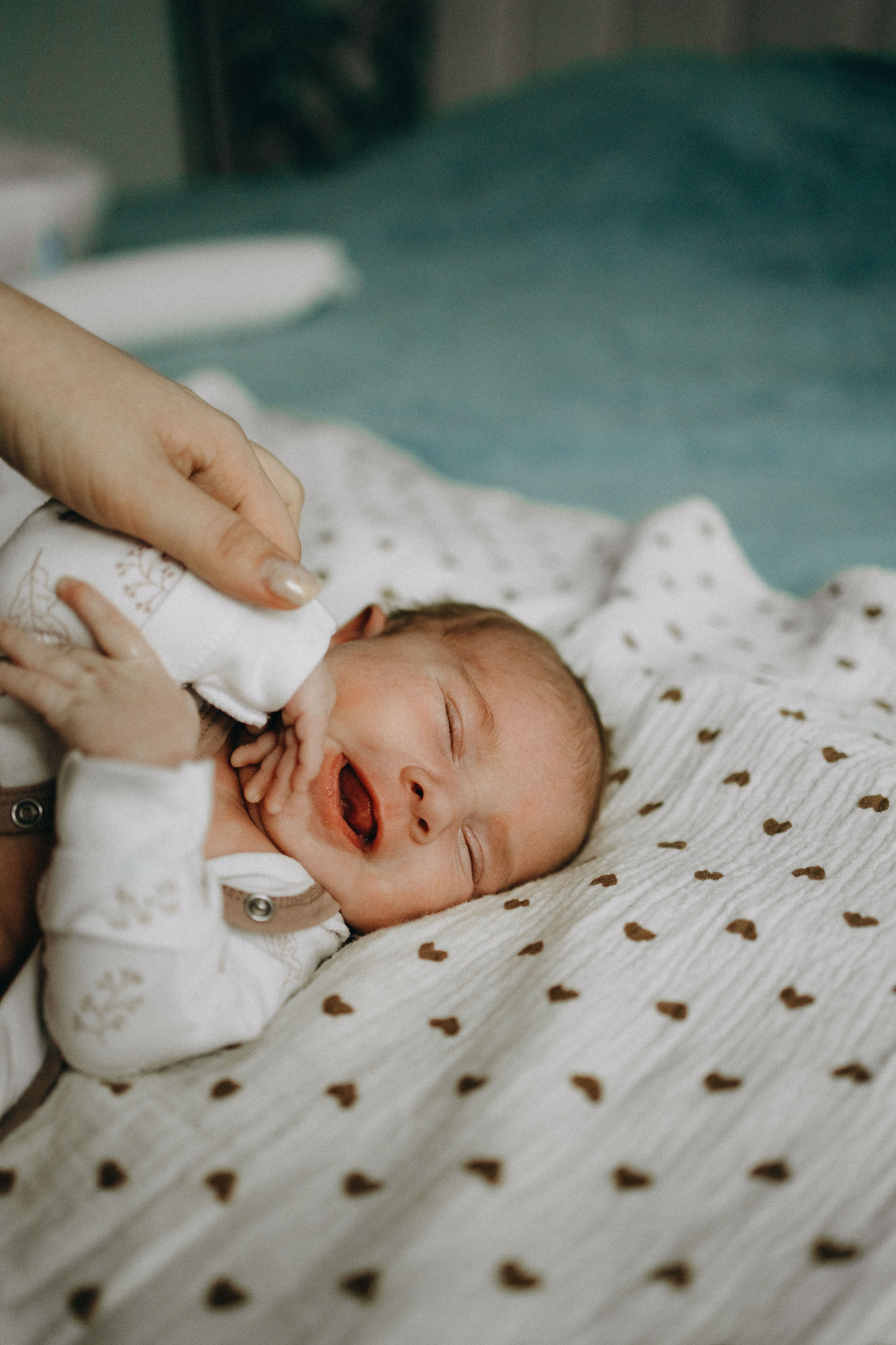 Гордей. Lifestyle семейный и детский фотограф в Омске Иванова Екатерина