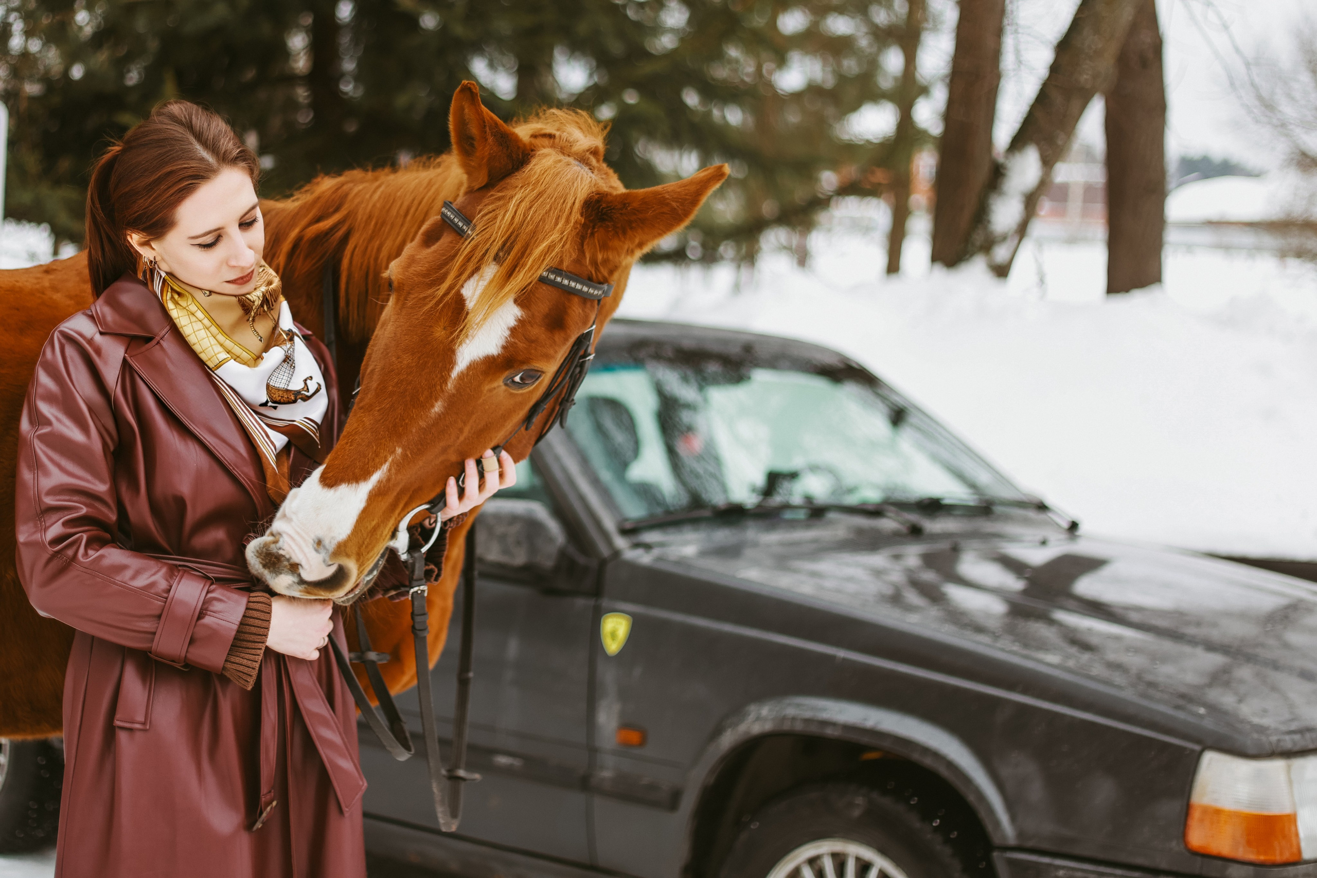 Фотосессии с лошадьми