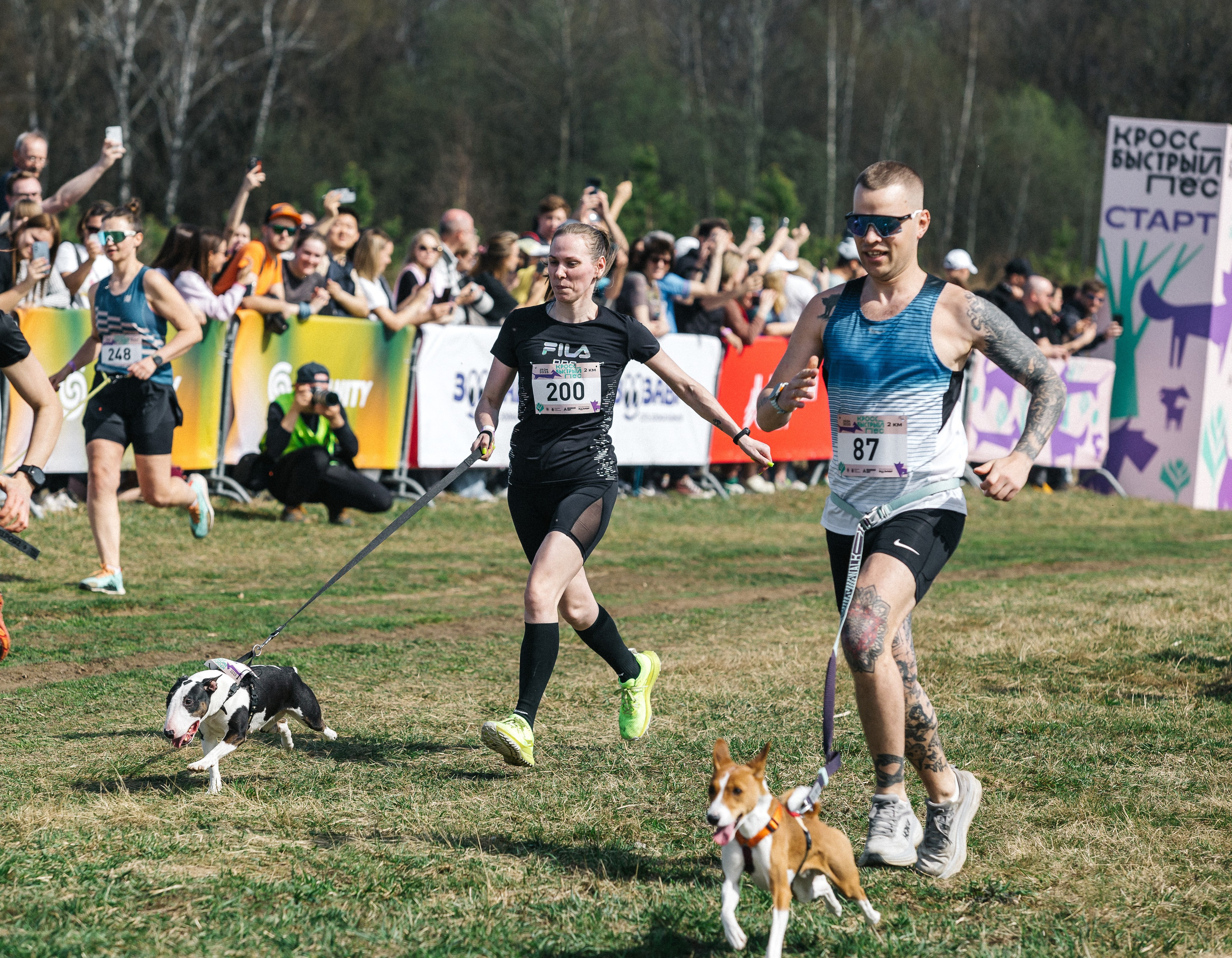 Кросс «Быстрый пёс» 2025. Репортажный фотограф в Москве