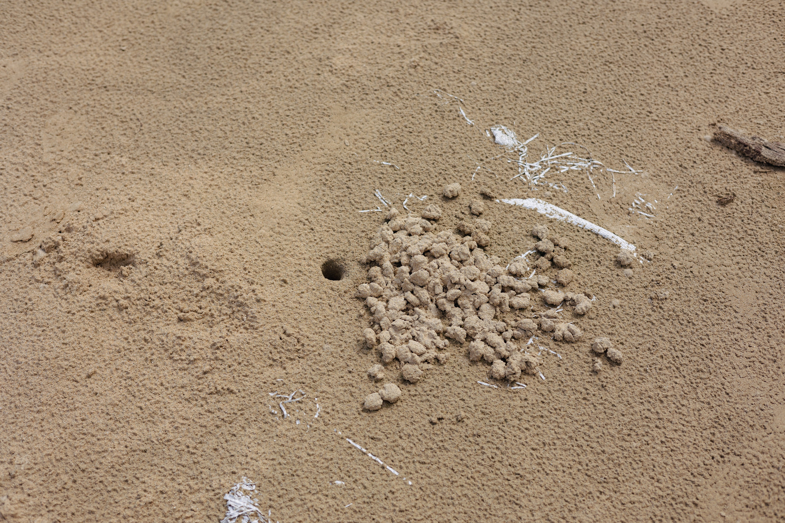 Weligama. Photographer Sonkina Tatiana (Tanya Ash)