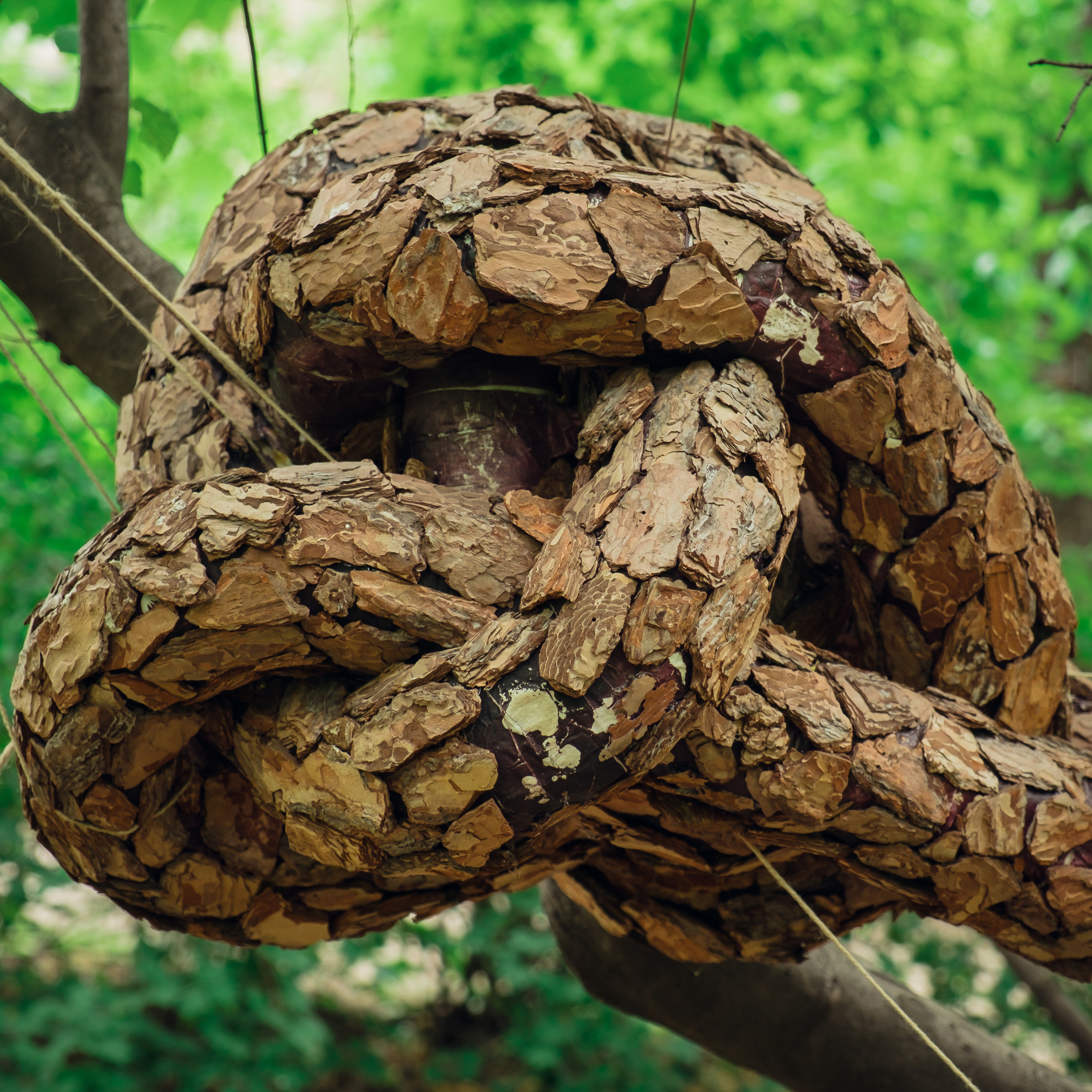 Аптекарский огород. Видеограф и фотограф на свадьбу в Москве