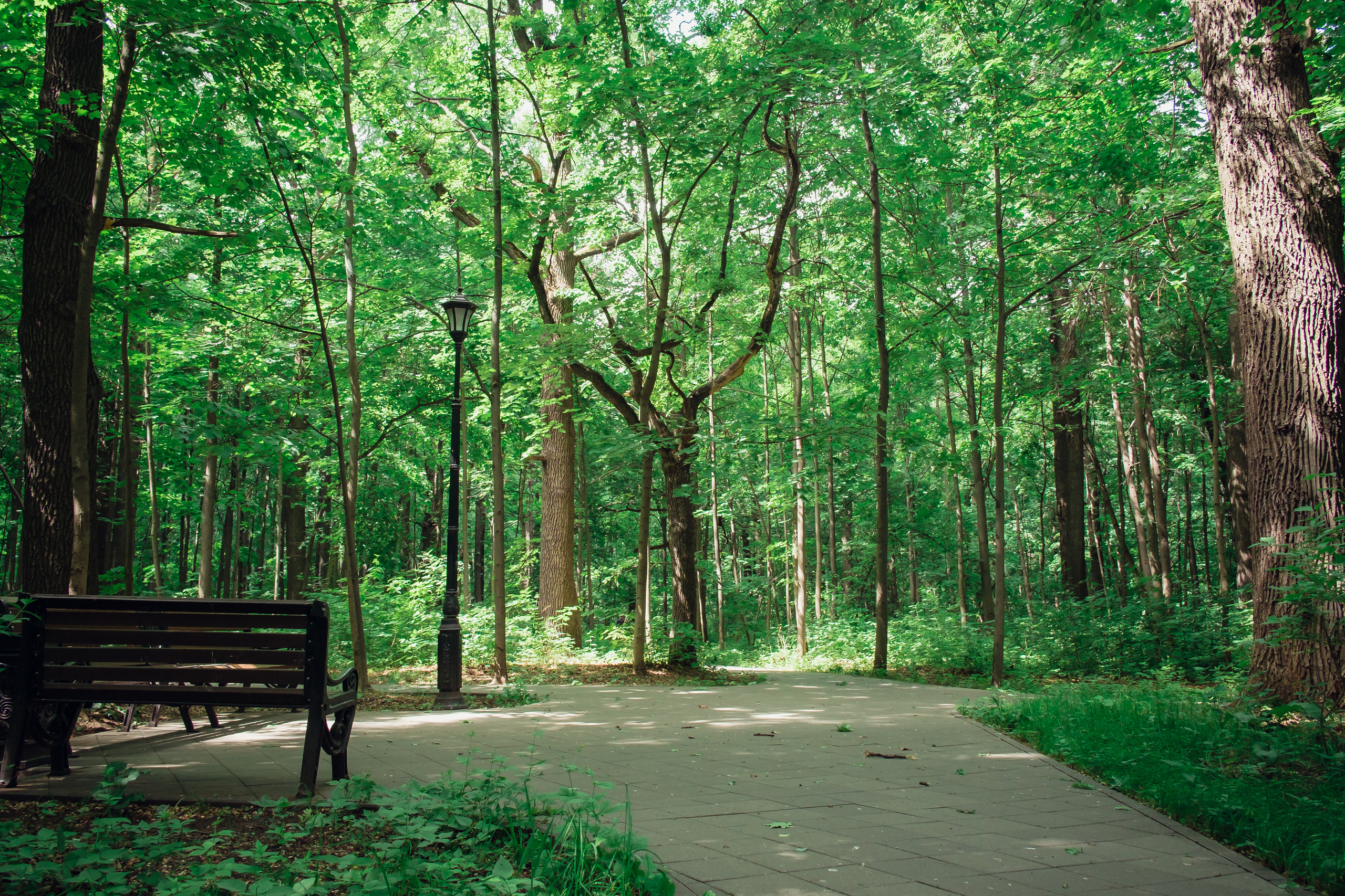 Усадьба останкино. Видеограф и фотограф на свадьбу в Москве