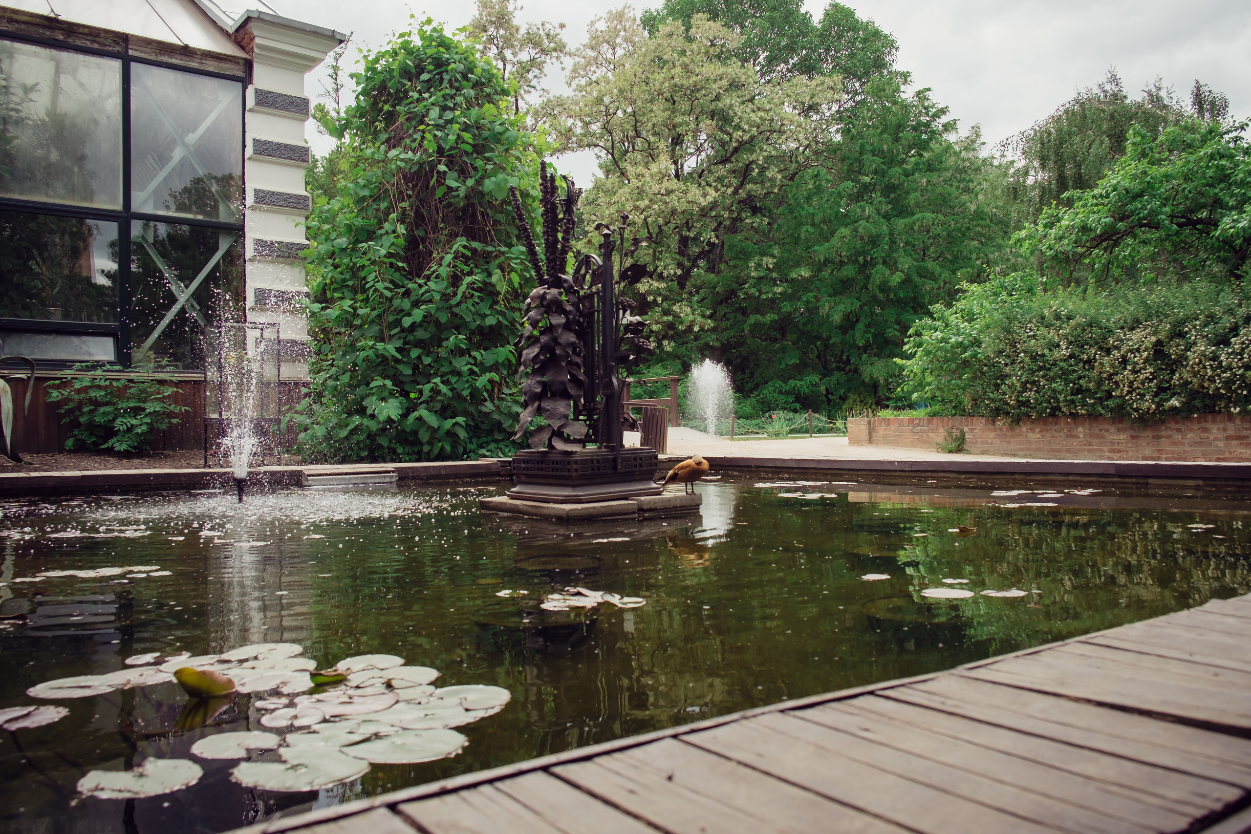 Аптекарский огород. Видеограф и фотограф на свадьбу в Москве