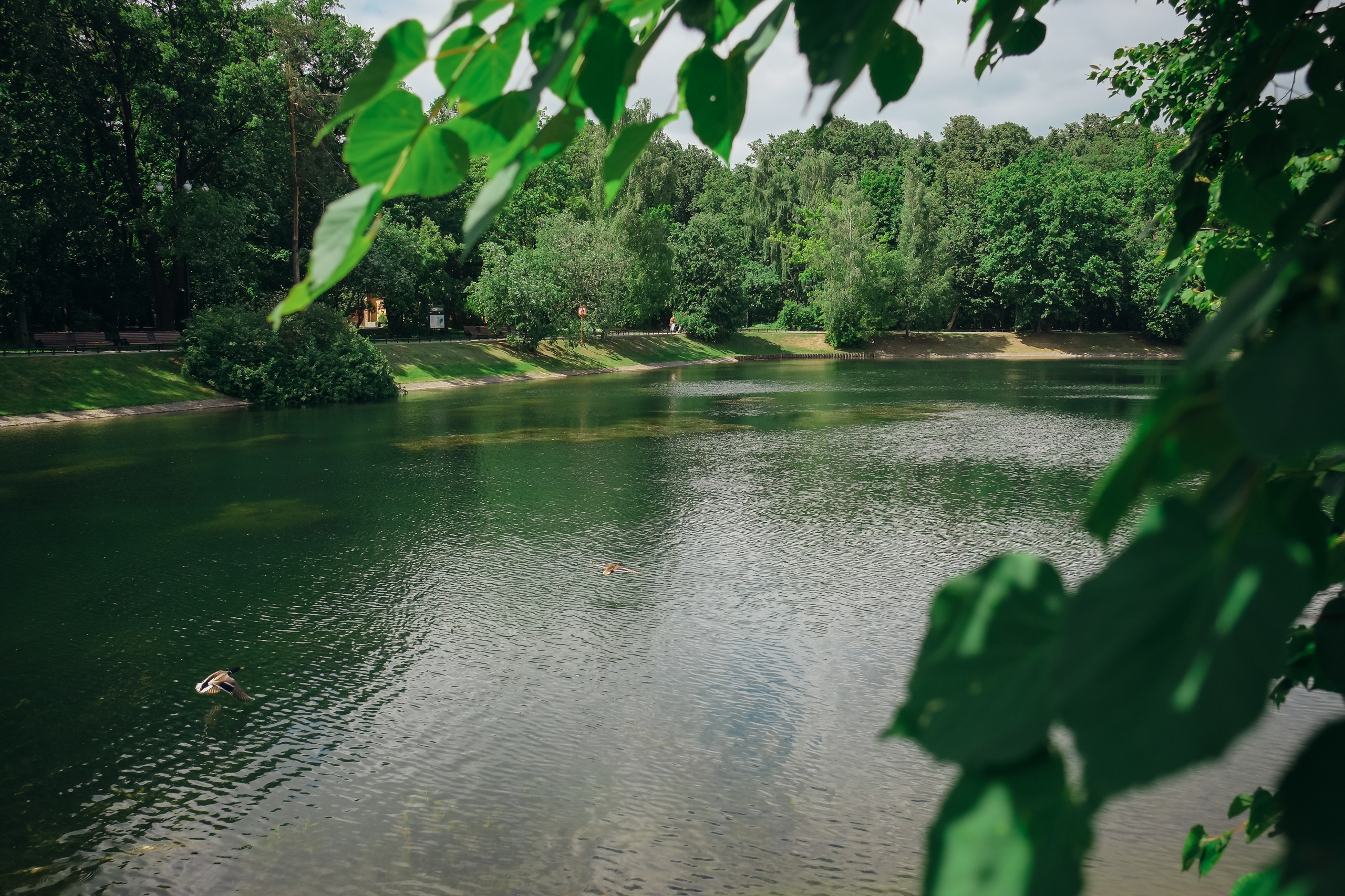 Усадьба останкино. Видеограф и фотограф на свадьбу в Москве