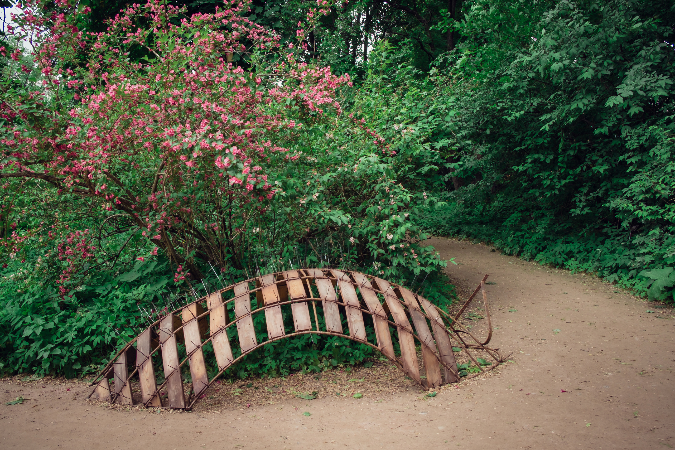 Аптекарский огород. Видеограф и фотограф на свадьбу в Москве