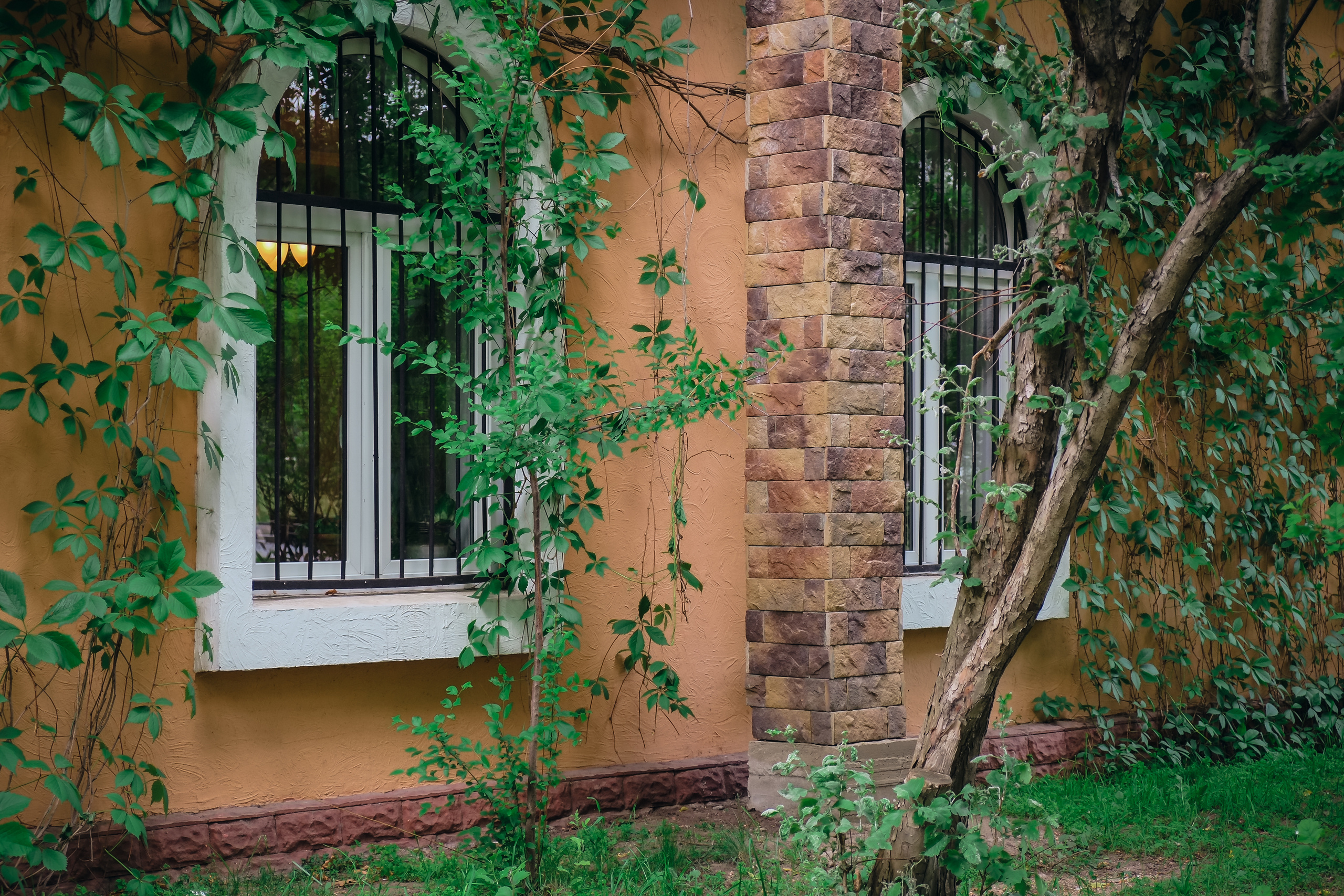 Усадьба останкино. Видеограф и фотограф на свадьбу в Москве