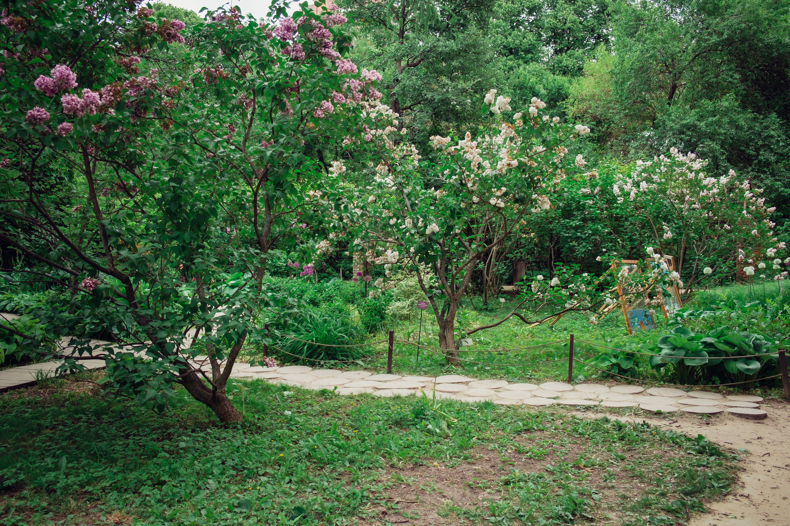 Аптекарский огород. Видеограф и фотограф на свадьбу в Москве