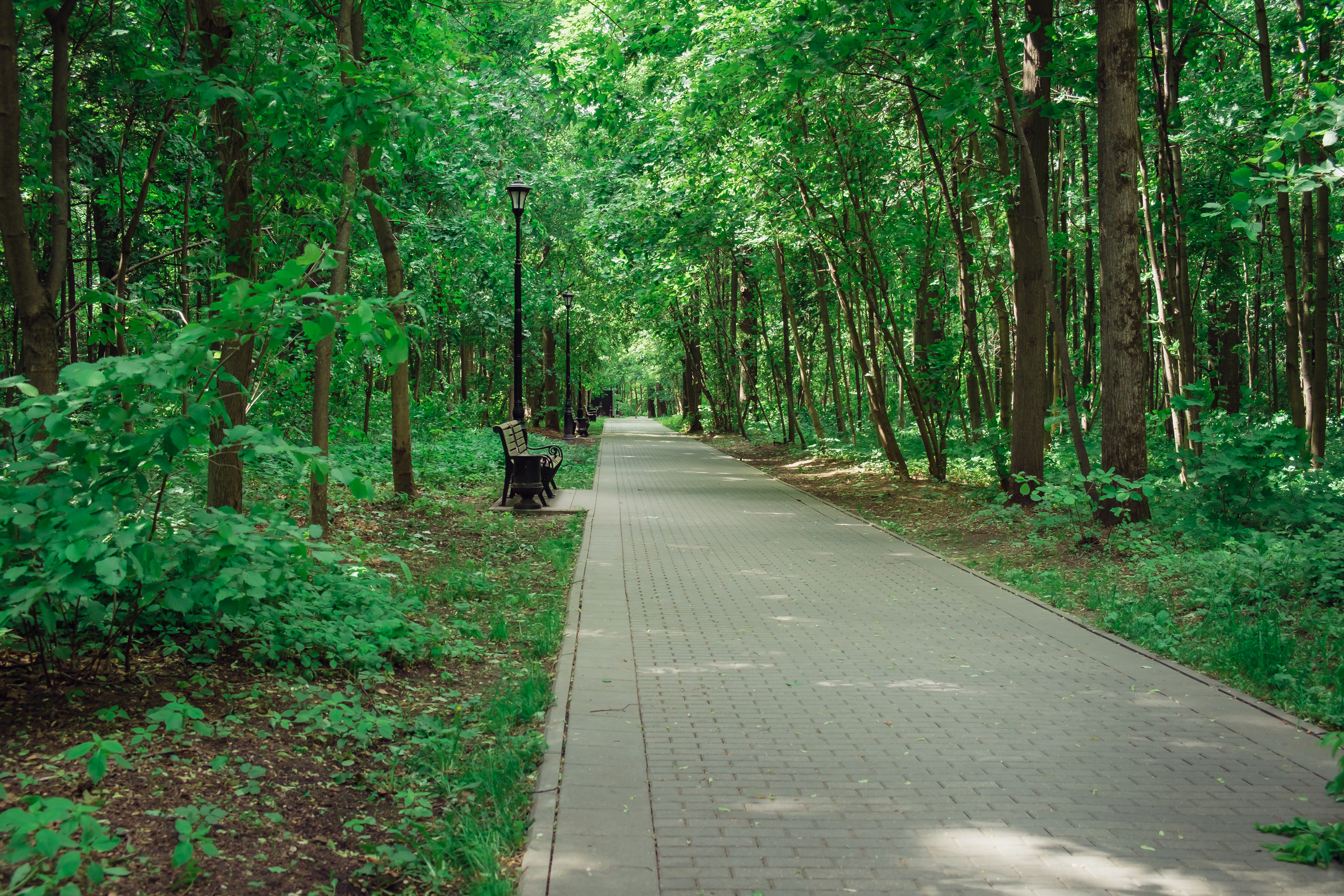 Усадьба останкино. Видеограф и фотограф на свадьбу в Москве