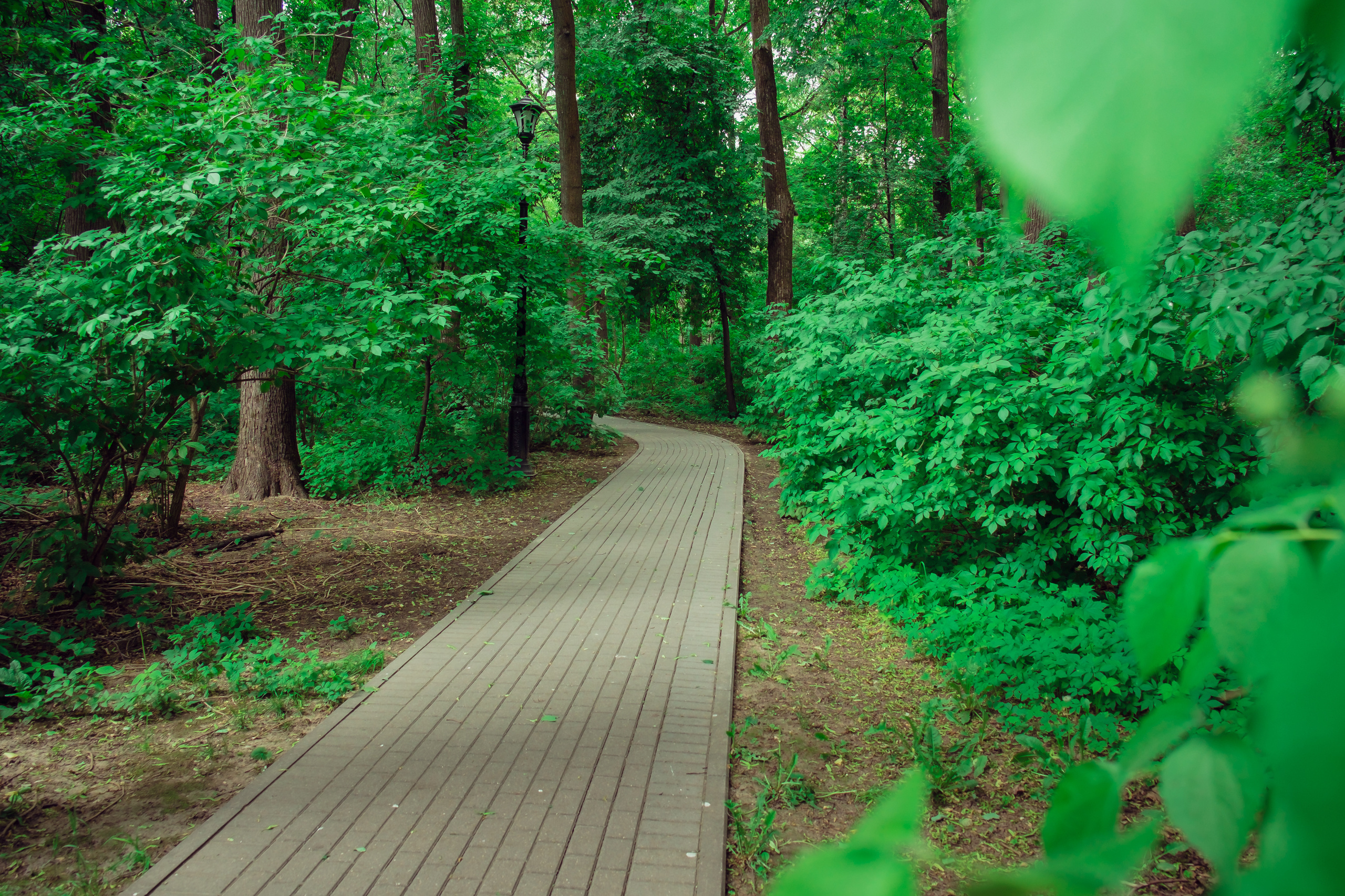 Усадьба останкино. Видеограф и фотограф на свадьбу в Москве