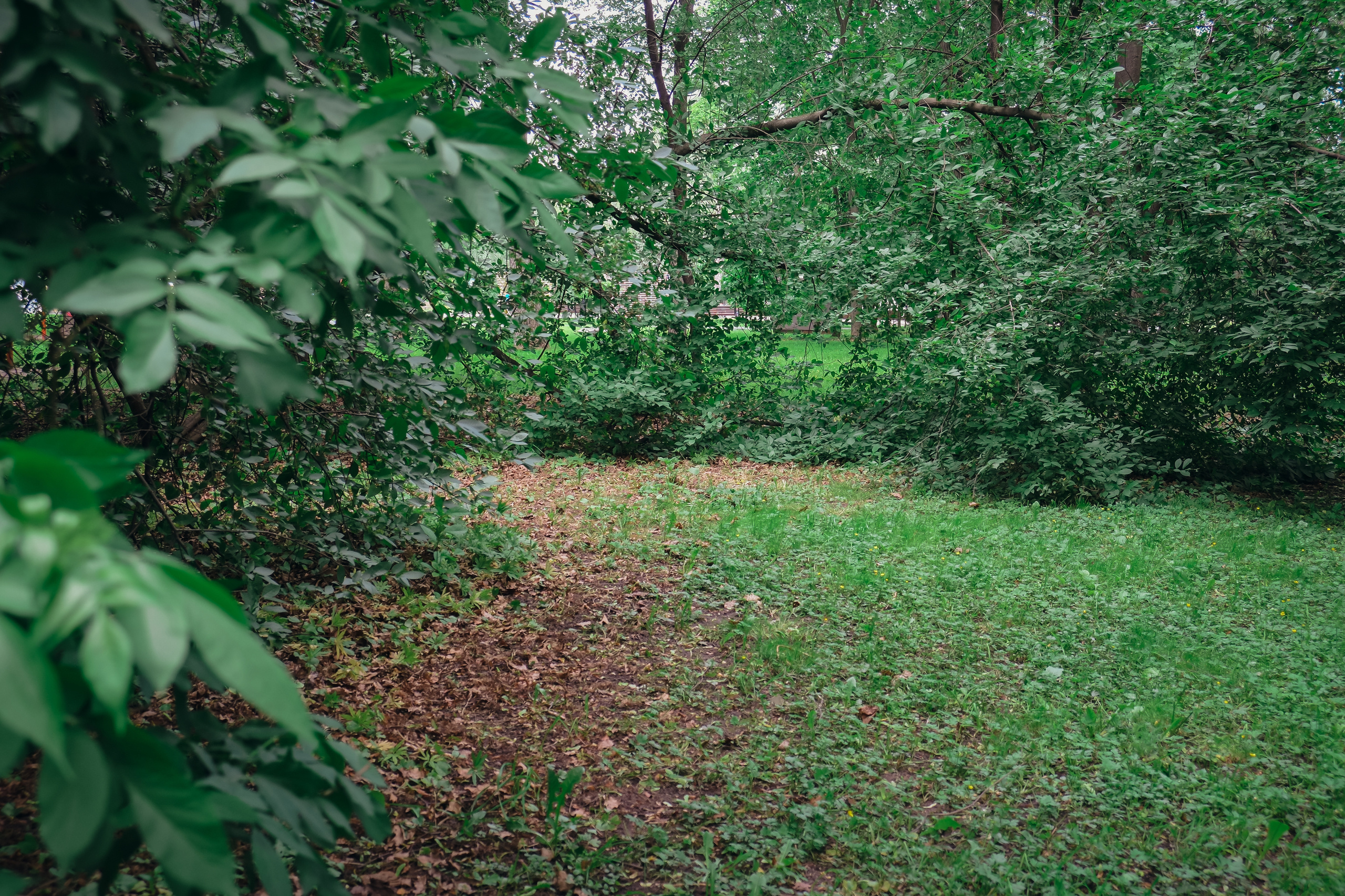 Усадьба останкино. Видеограф и фотограф на свадьбу в Москве