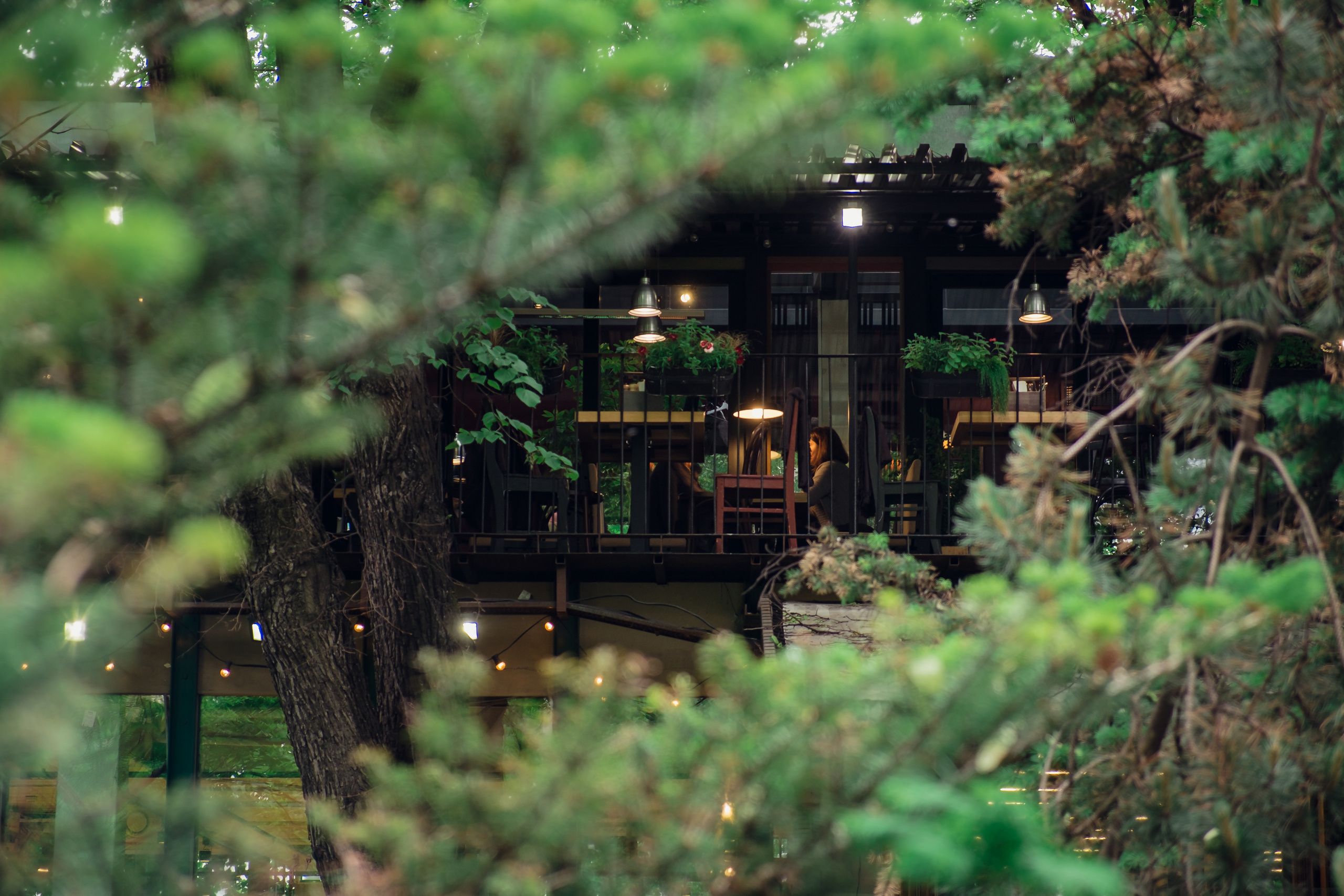 Аптекарский огород. Видеограф и фотограф на свадьбу в Москве