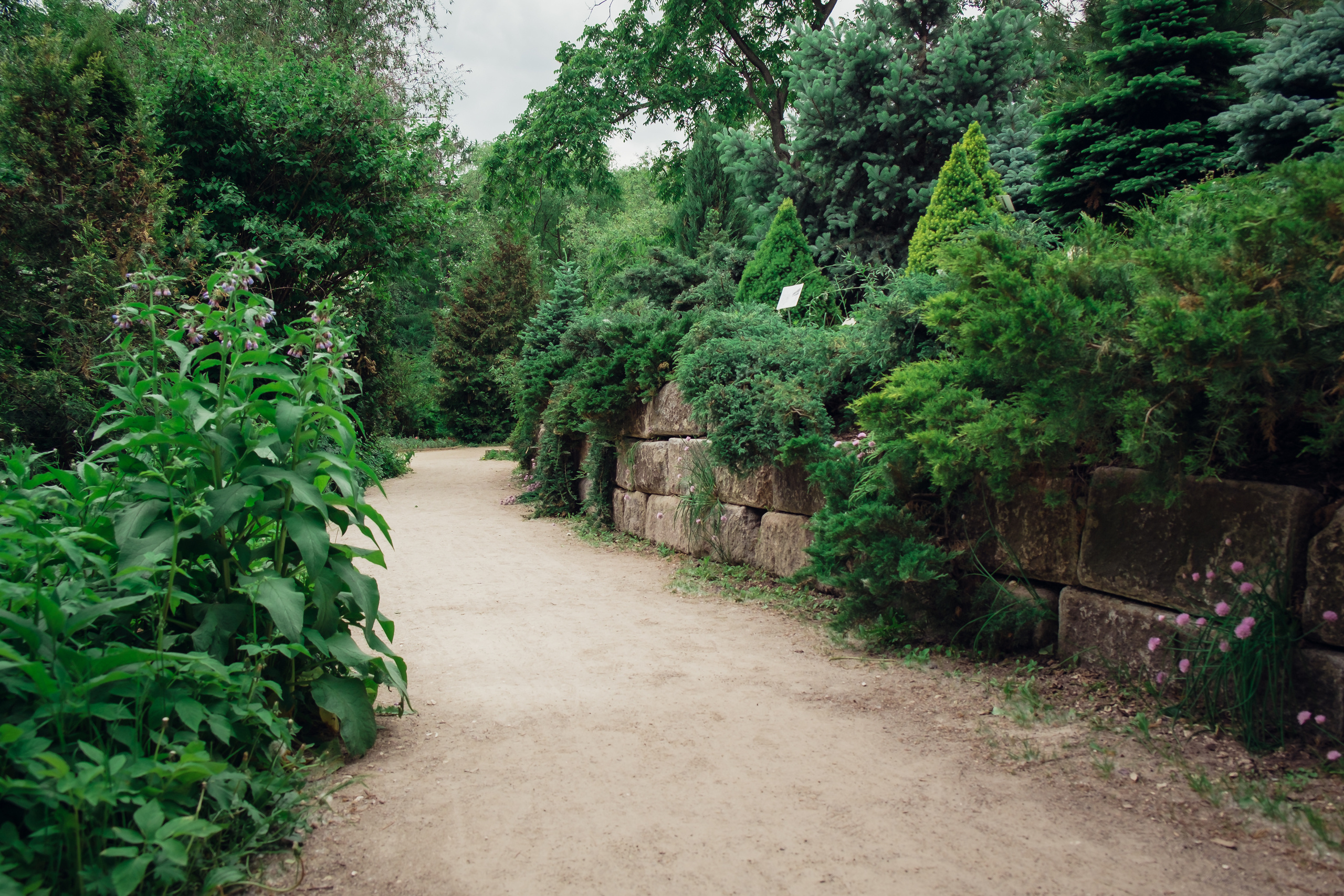 Аптекарский огород. Видеограф и фотограф на свадьбу в Москве