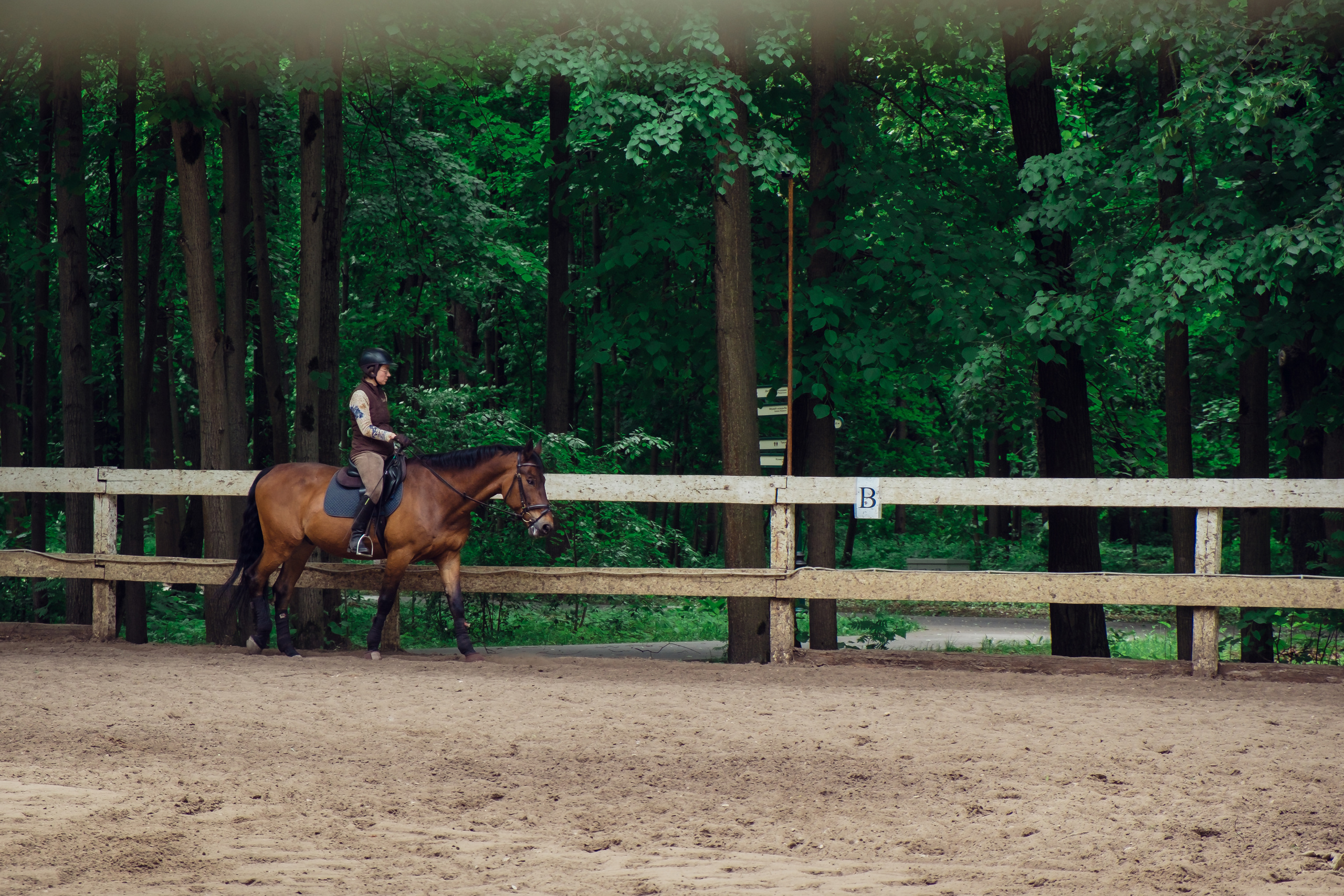 Усадьба останкино. Видеограф и фотограф на свадьбу в Москве