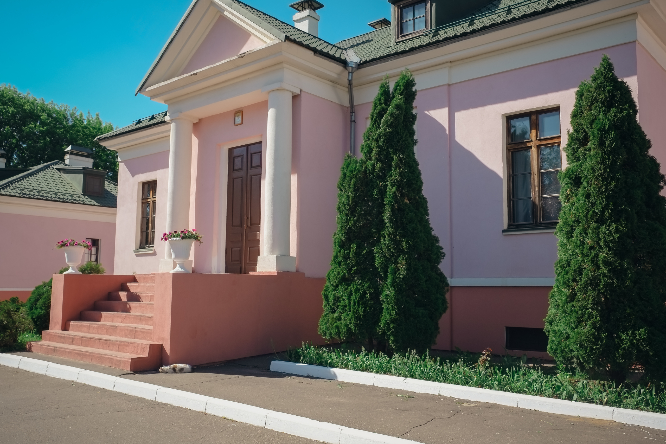 Усадьба останкино. Видеограф и фотограф на свадьбу в Москве