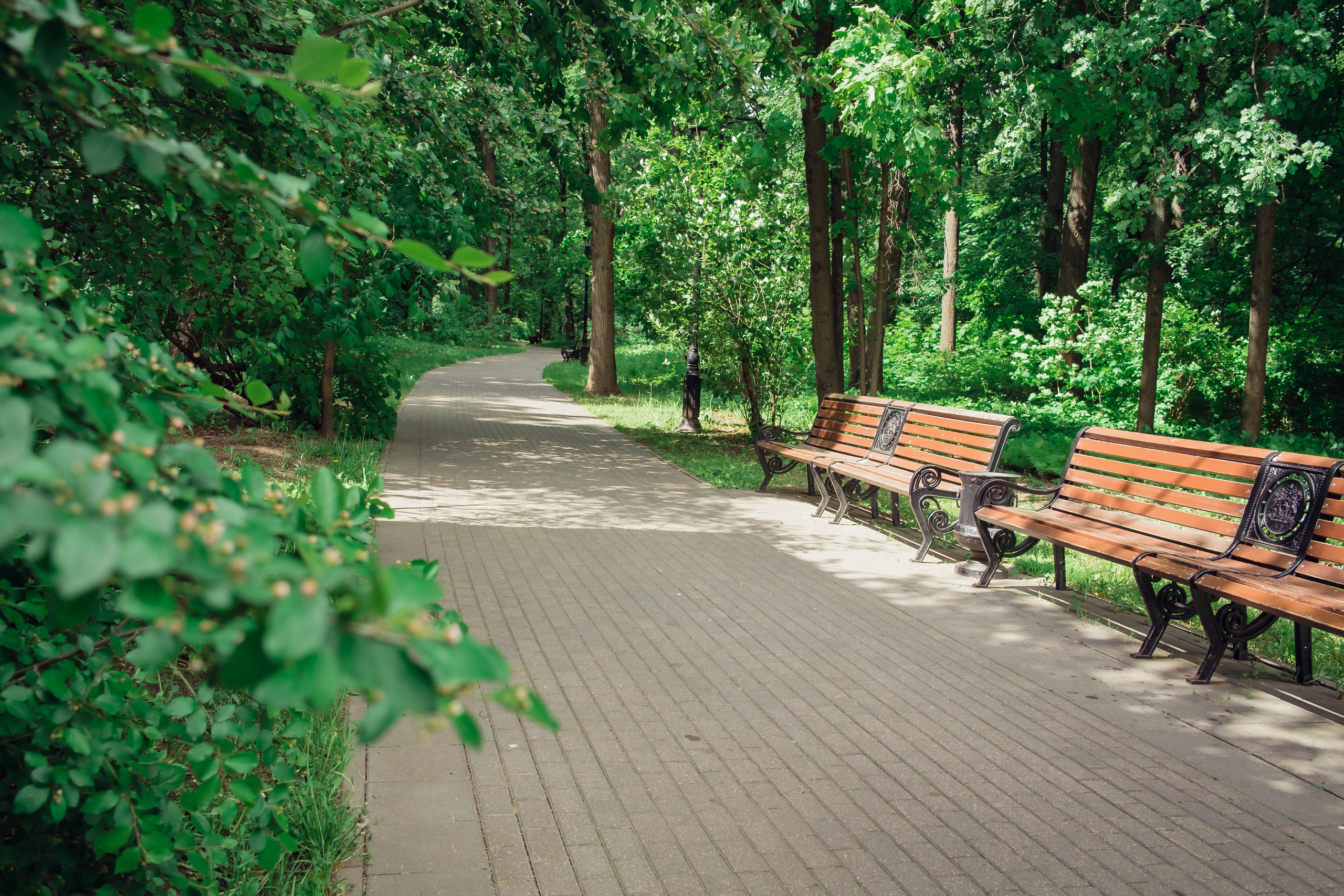 Усадьба останкино. Видеограф и фотограф на свадьбу в Москве
