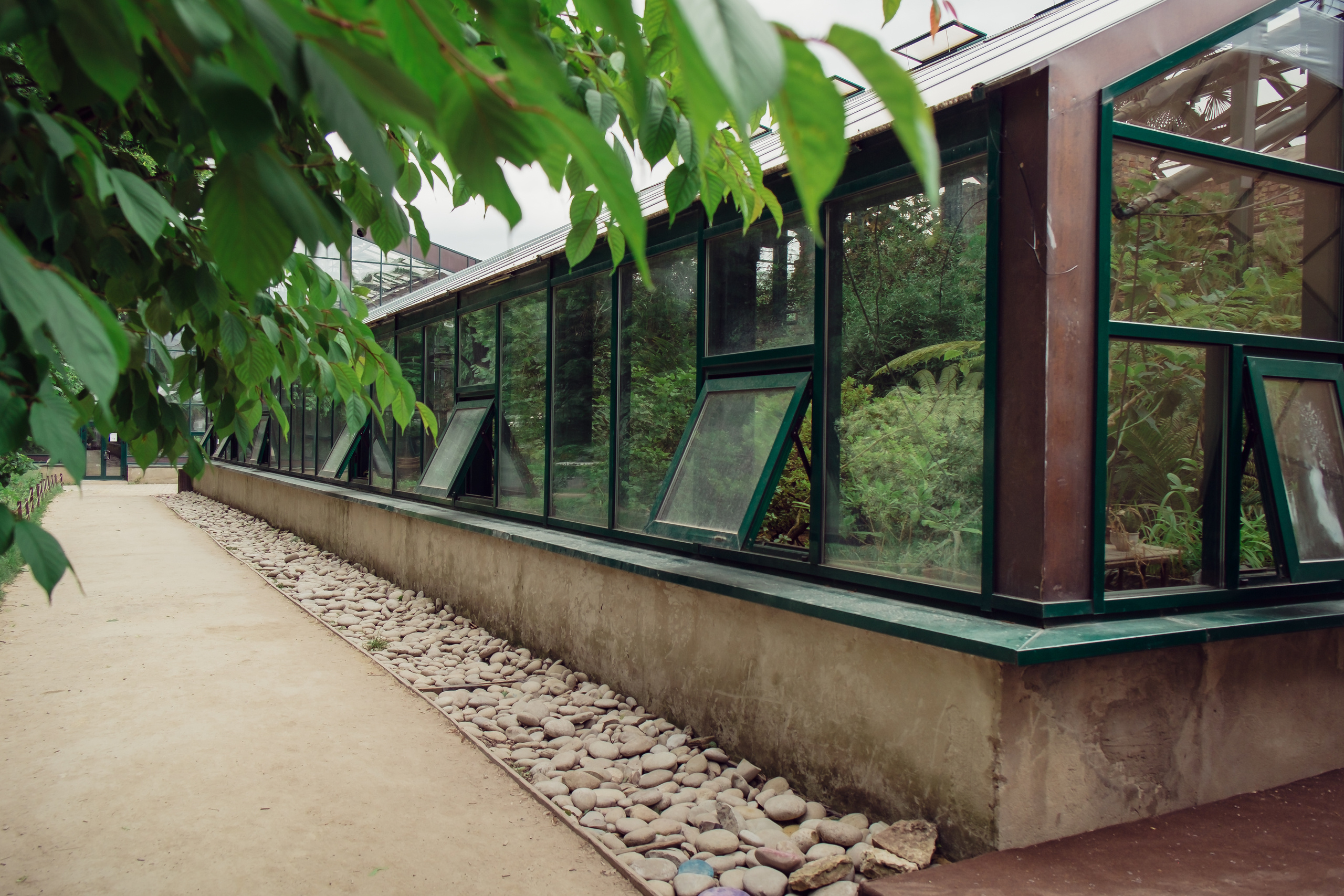 Аптекарский огород. Видеограф и фотограф на свадьбу в Москве