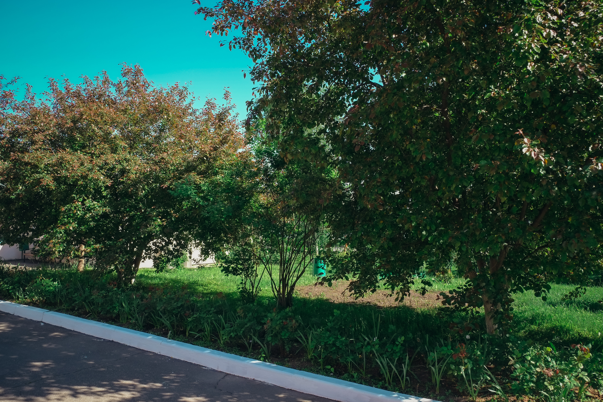 Усадьба останкино. Видеограф и фотограф на свадьбу в Москве