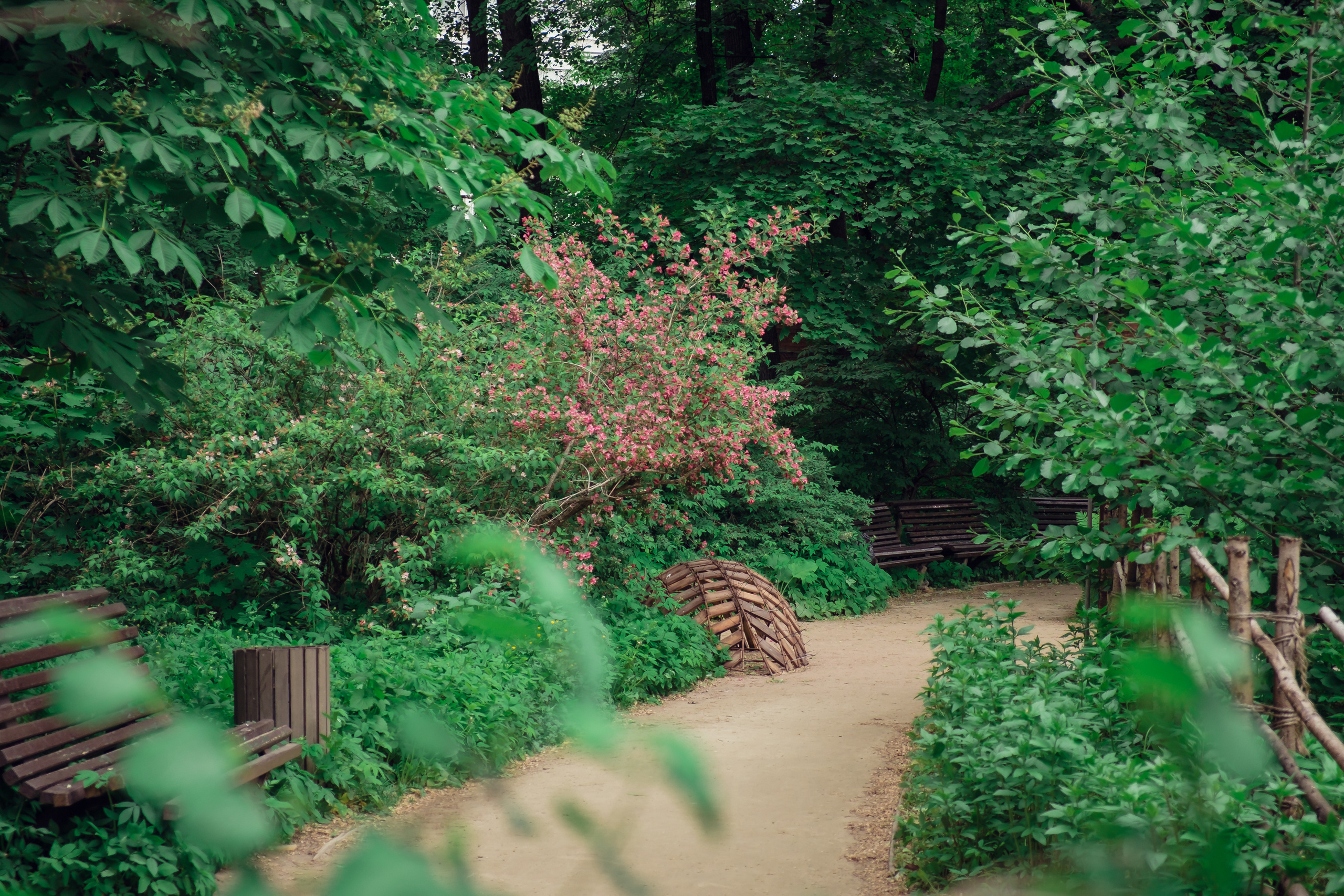 Аптекарский огород. Видеограф и фотограф на свадьбу в Москве