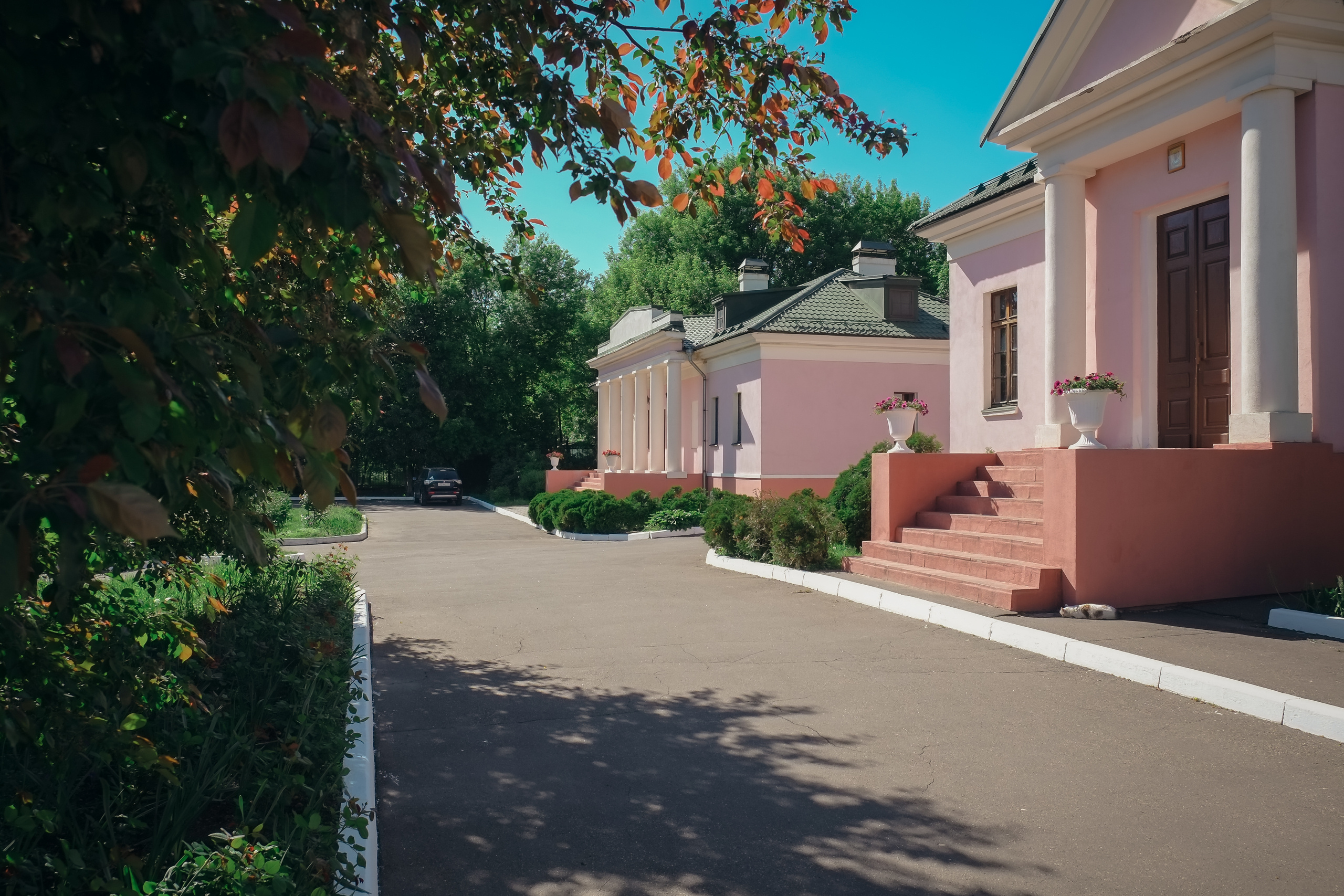 Усадьба останкино. Видеограф и фотограф на свадьбу в Москве