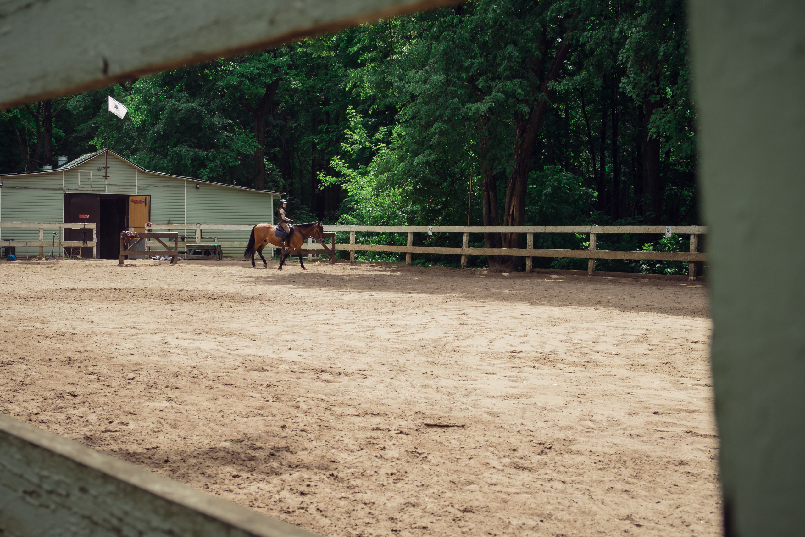 Усадьба останкино. Видеограф и фотограф на свадьбу в Москве